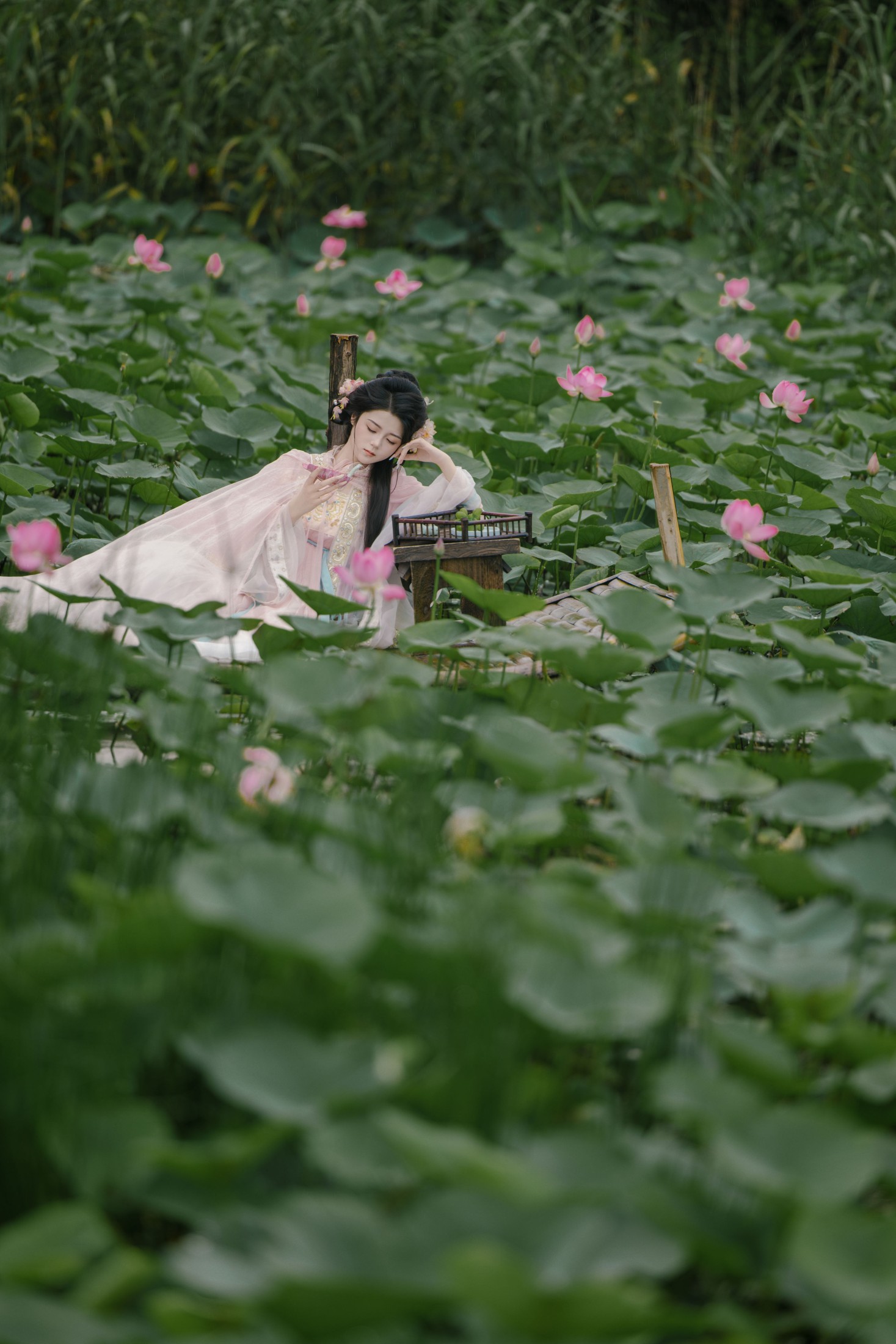 图片[6] - 阿琳 - 《雨荷》[25P] - 机器猫次元 - 机器猫次元
