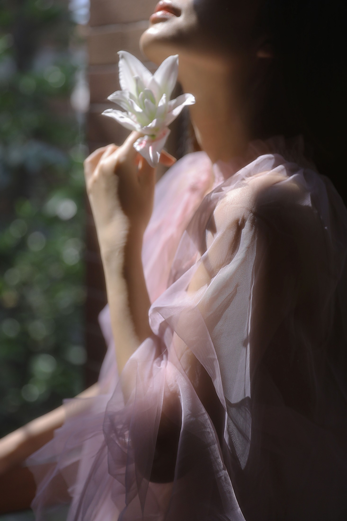 图片[6] - 六六 - 《只管开花》[16P] - 机器猫次元 - 机器猫次元