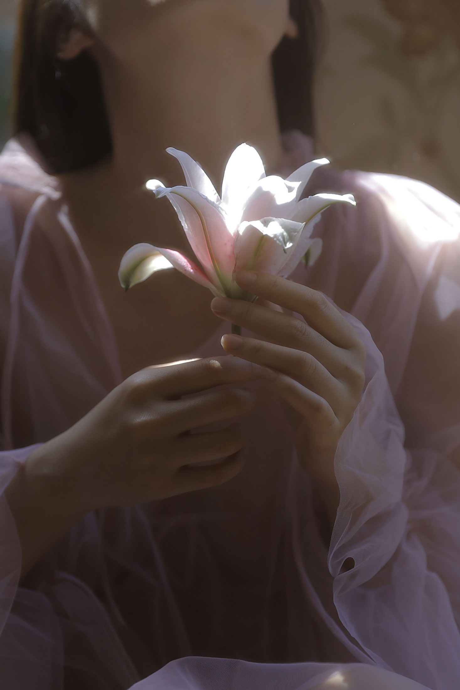 图片[8] - 六六 - 《只管开花》[16P] - 机器猫次元 - 机器猫次元