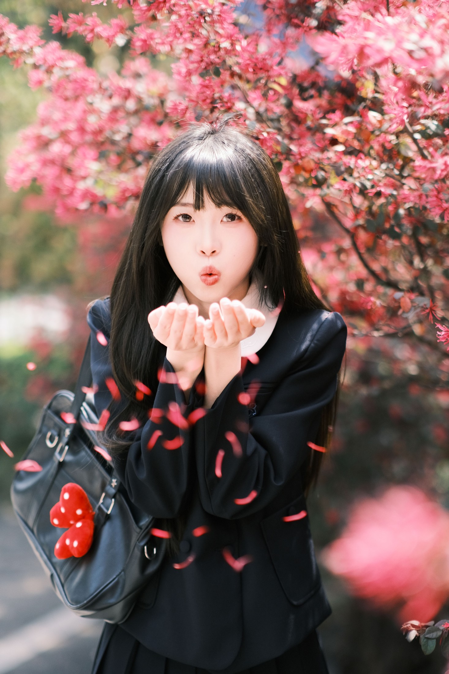 图片[3] - 10 - 《想不到吧路边绿化的红继木拍出来这么好看》[18P] - 机器猫次元 - 机器猫次元
