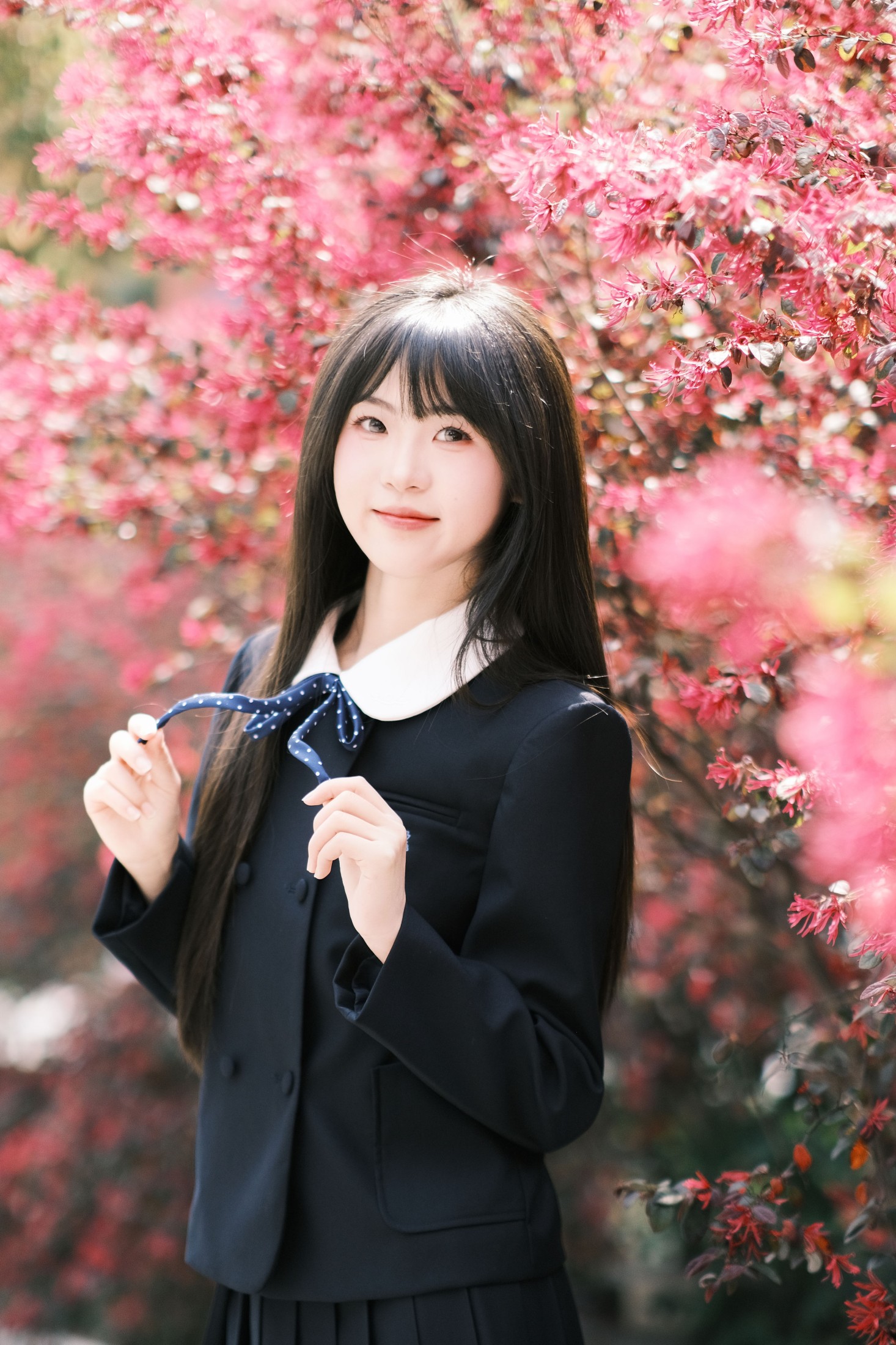 图片[4] - 10 - 《想不到吧路边绿化的红继木拍出来这么好看》[18P] - 机器猫次元 - 机器猫次元