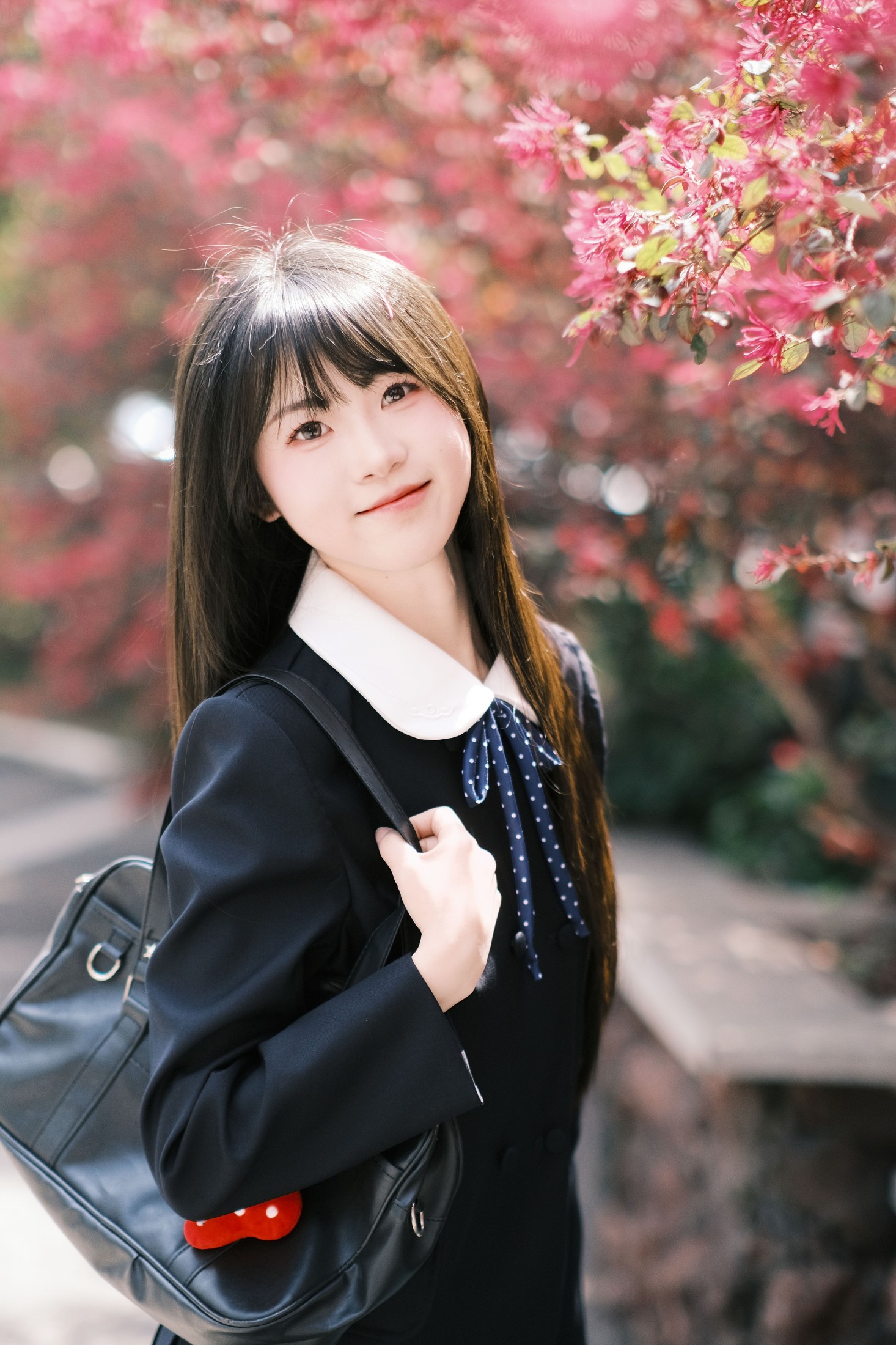 图片[1] - 10 - 《想不到吧路边绿化的红继木拍出来这么好看》[18P] - 机器猫次元 - 机器猫次元