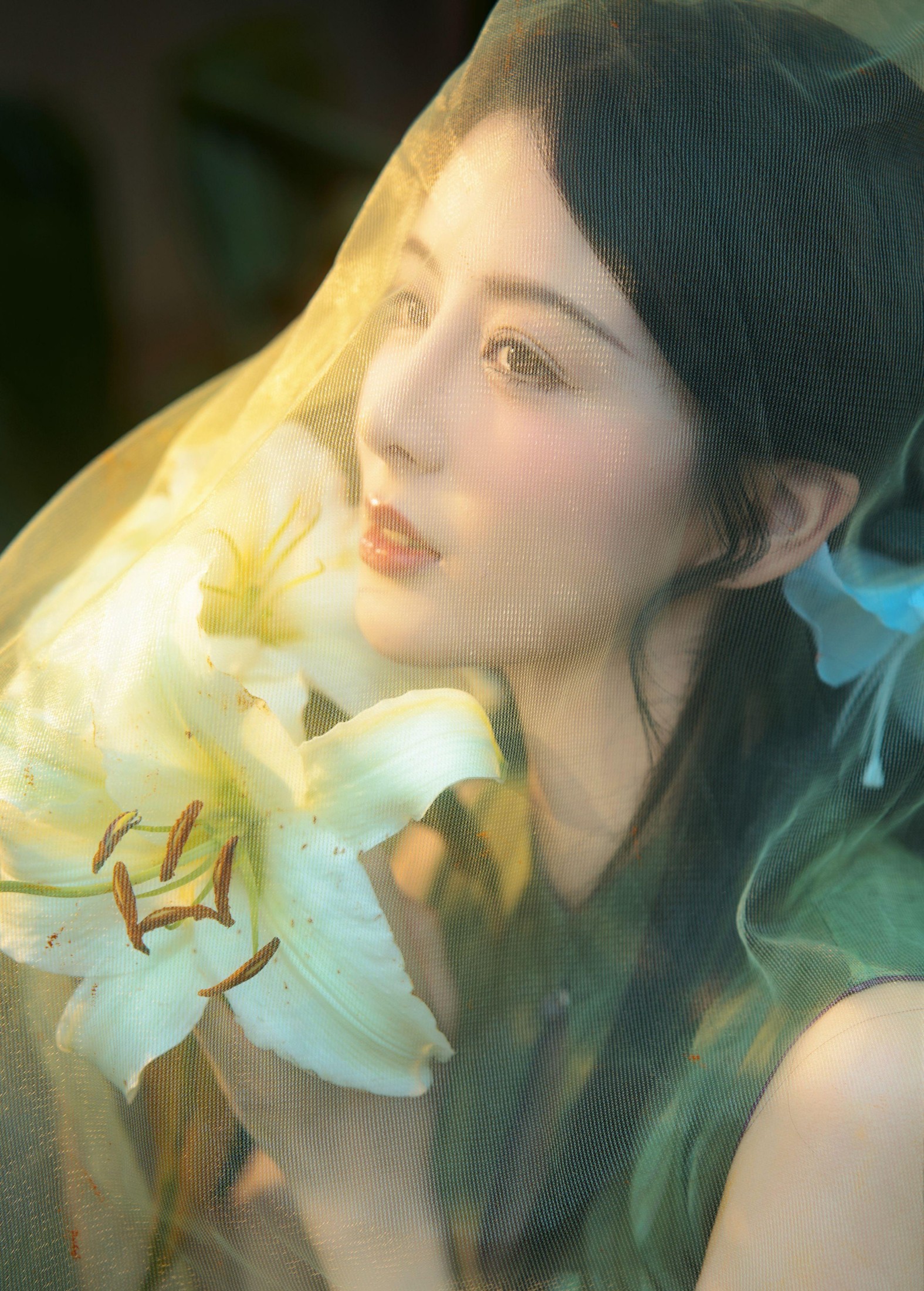 图片[2] - 言欢 - 《不与花同梦》[13P] - 机器猫次元 - 机器猫次元