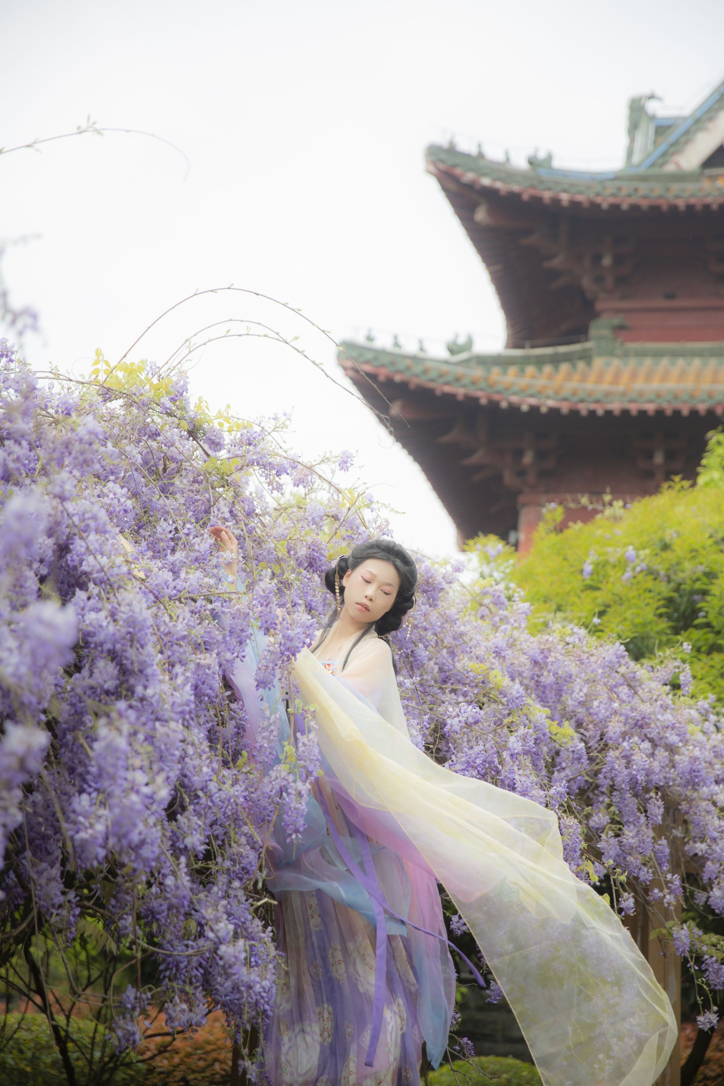图片[7] - 池白浔 - 《紫藤花》[22P] - 机器猫次元 - 机器猫次元