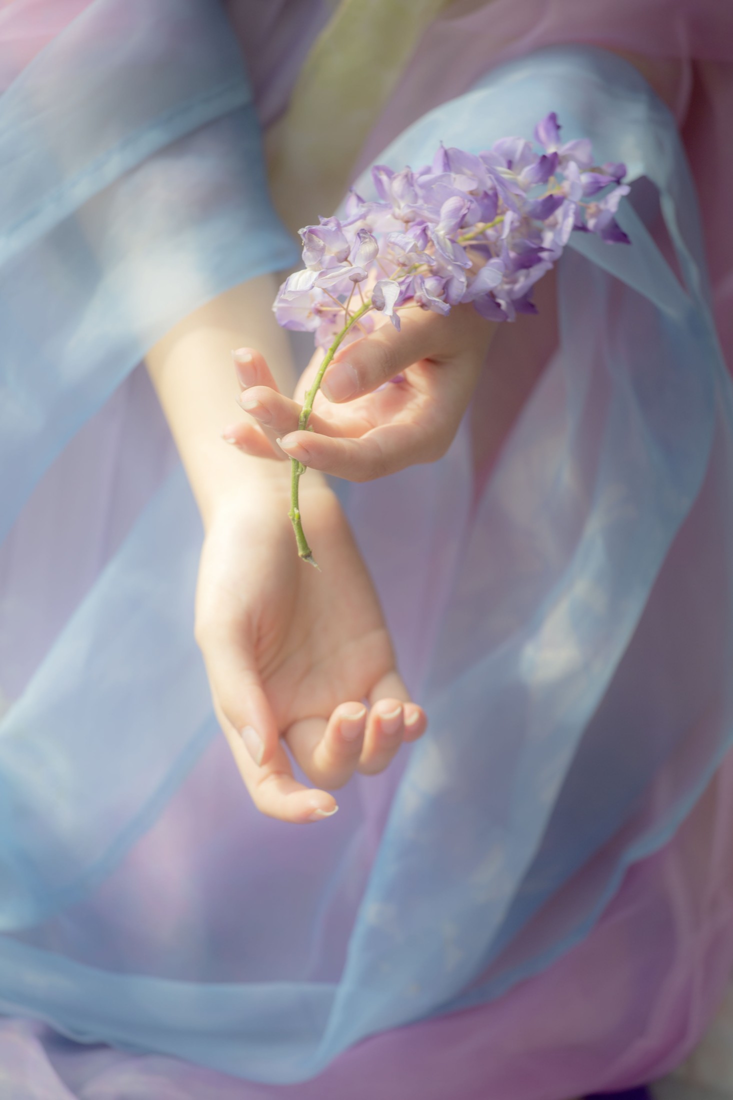 图片[4] - 池白浔 - 《紫藤花》[22P] - 机器猫次元 - 机器猫次元