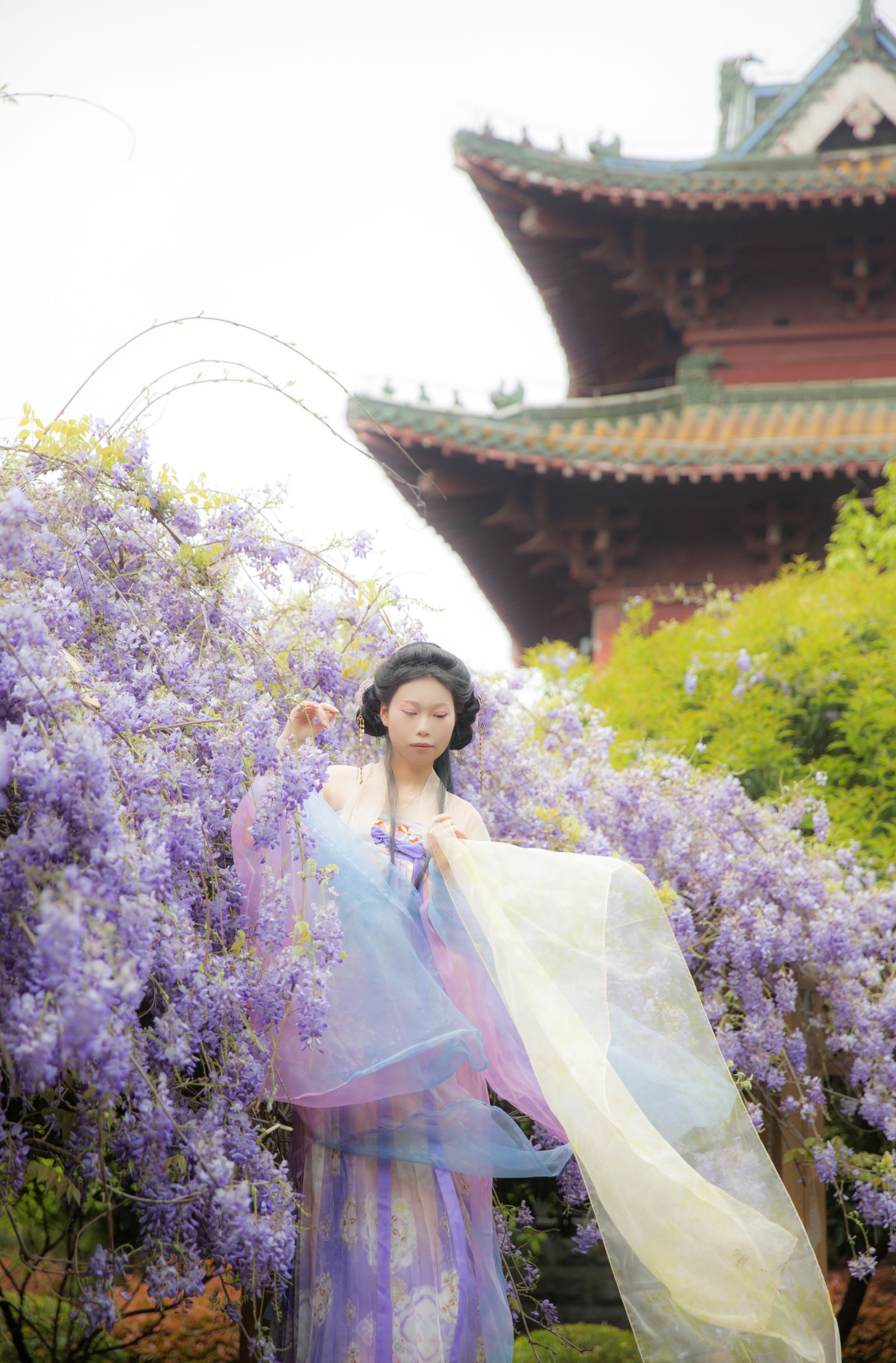 图片[6] - 池白浔 - 《紫藤花》[22P] - 机器猫次元 - 机器猫次元