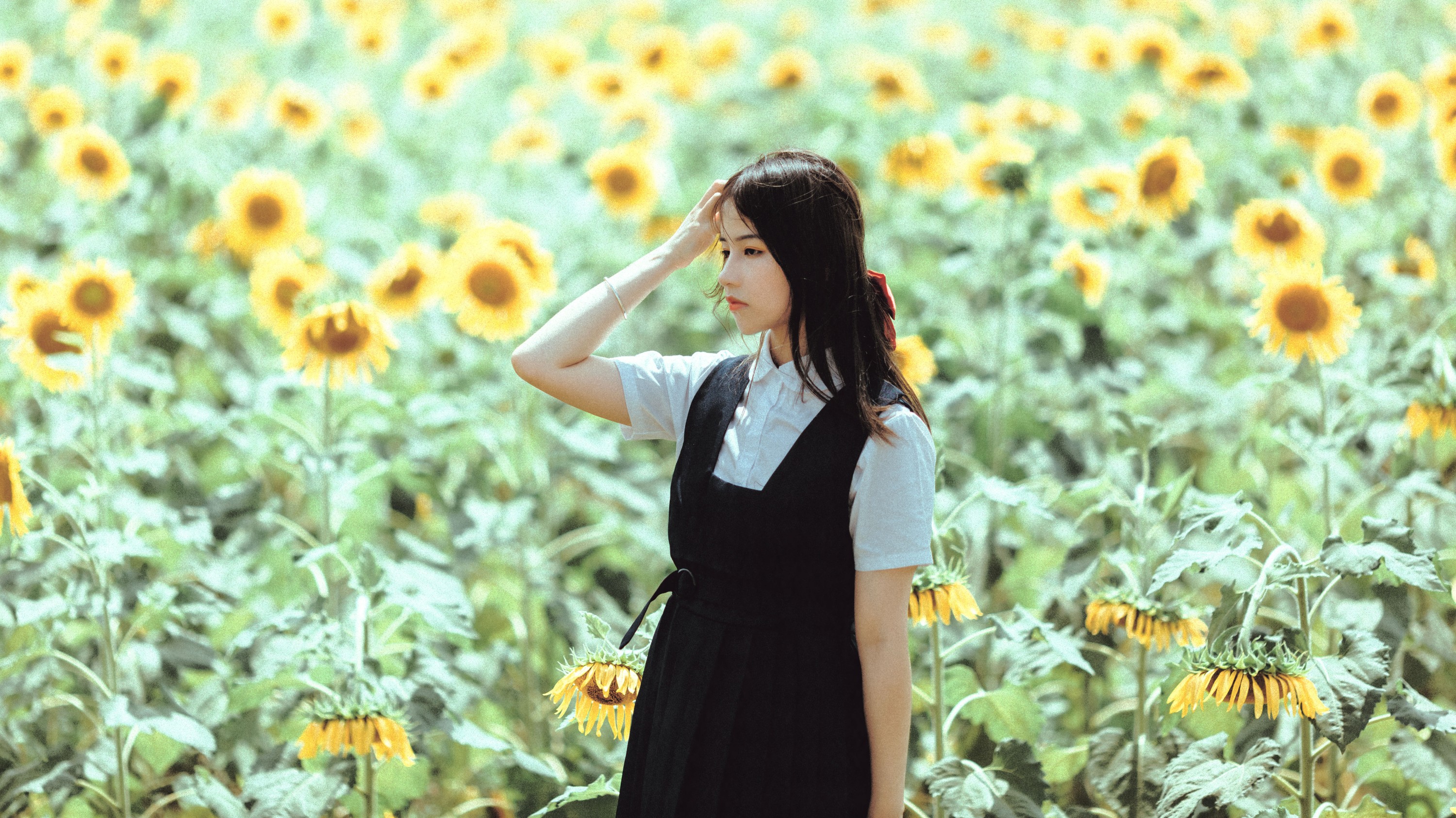 图片[1] - 薇薇 - 《夏天的太阳花》[17P] - 机器猫次元 - 机器猫次元