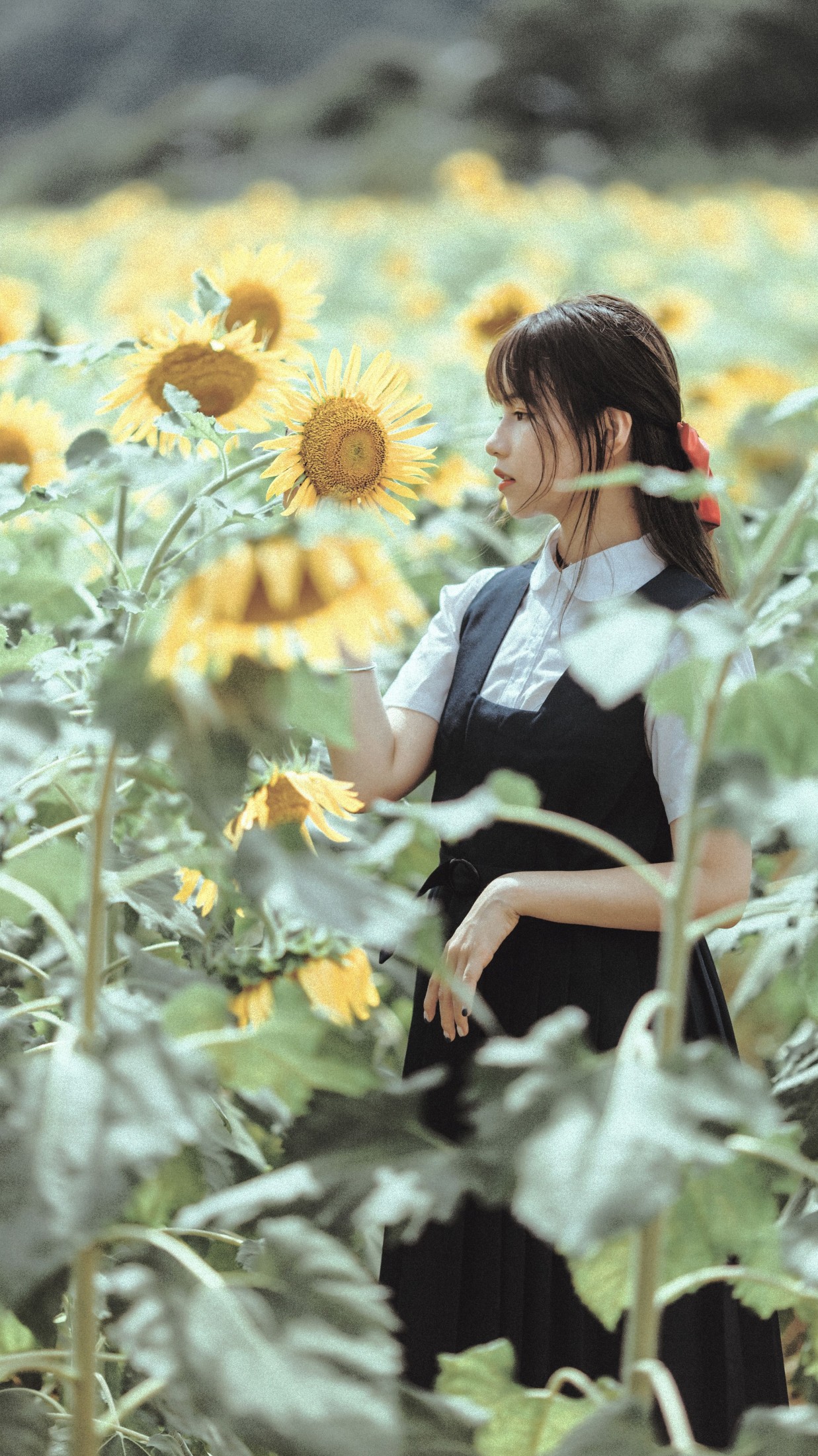 图片[3] - 薇薇 - 《夏天的太阳花》[17P] - 机器猫次元 - 机器猫次元