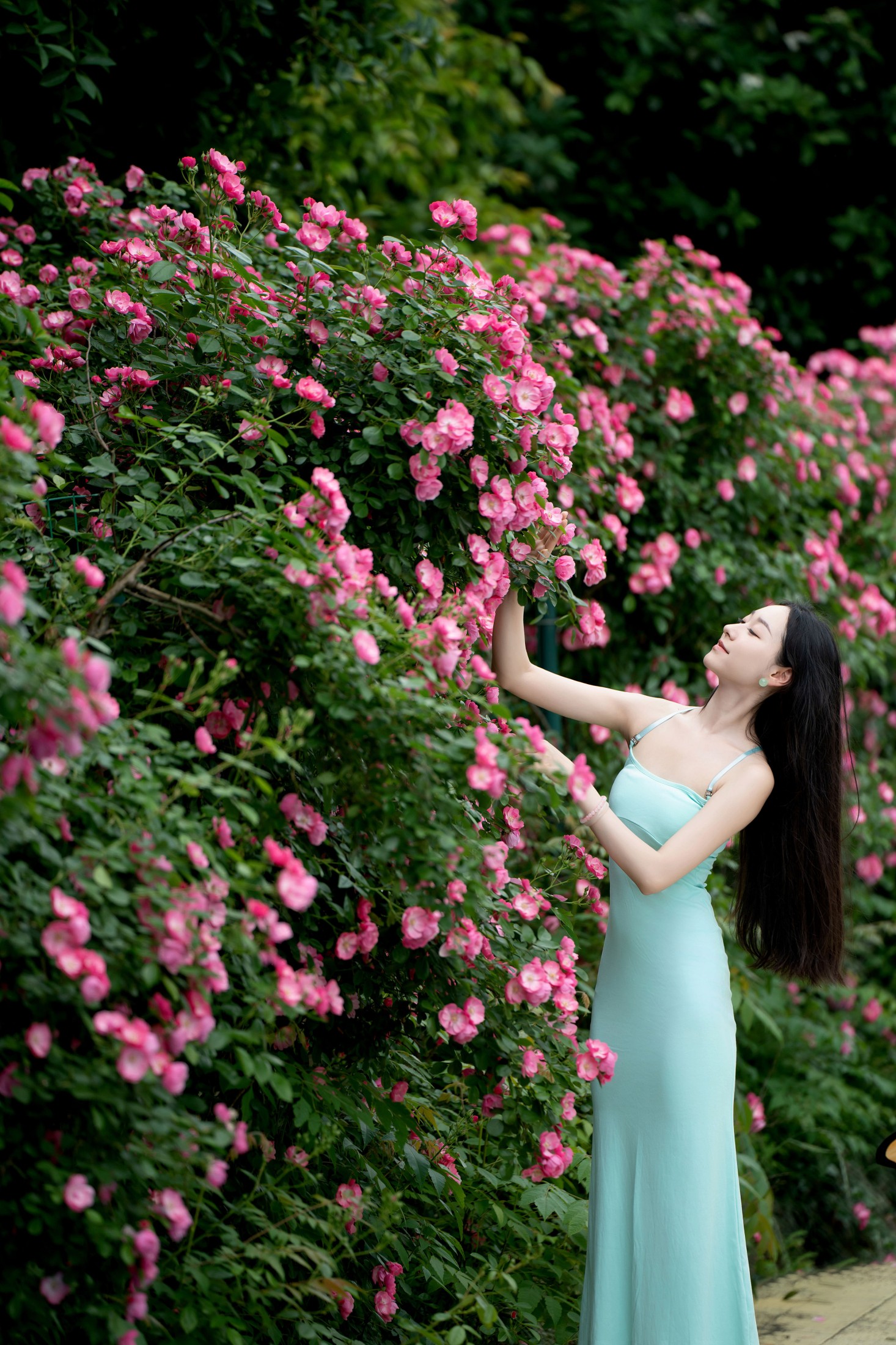 图片[7] - 玥玥hsbjsvnsms - 《蔷薇花女神》[14P] - 机器猫次元 - 机器猫次元