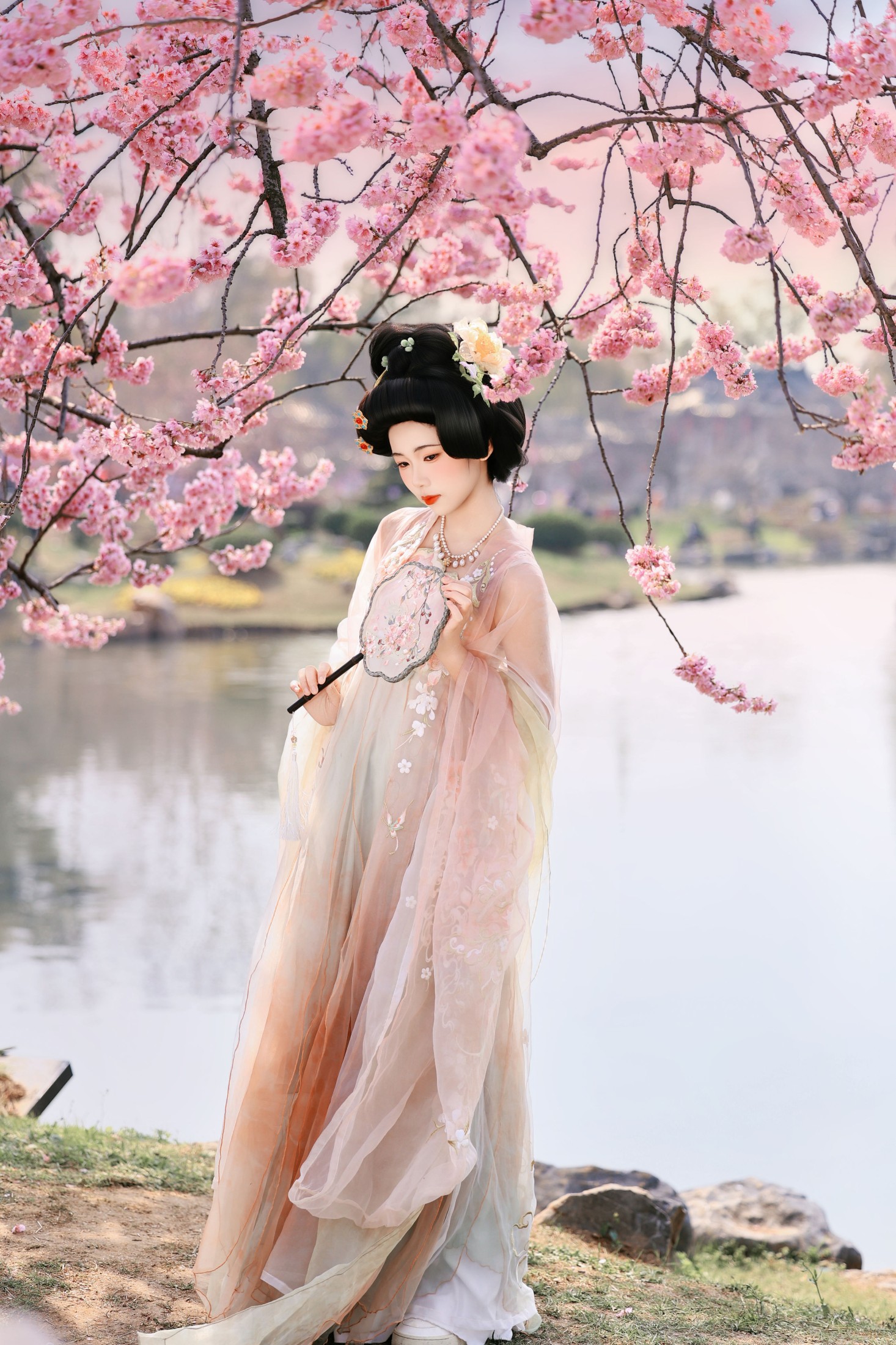 图片[3] - 沸腾的米粥 - 《樱花梦》[23P] - 机器猫次元 - 机器猫次元