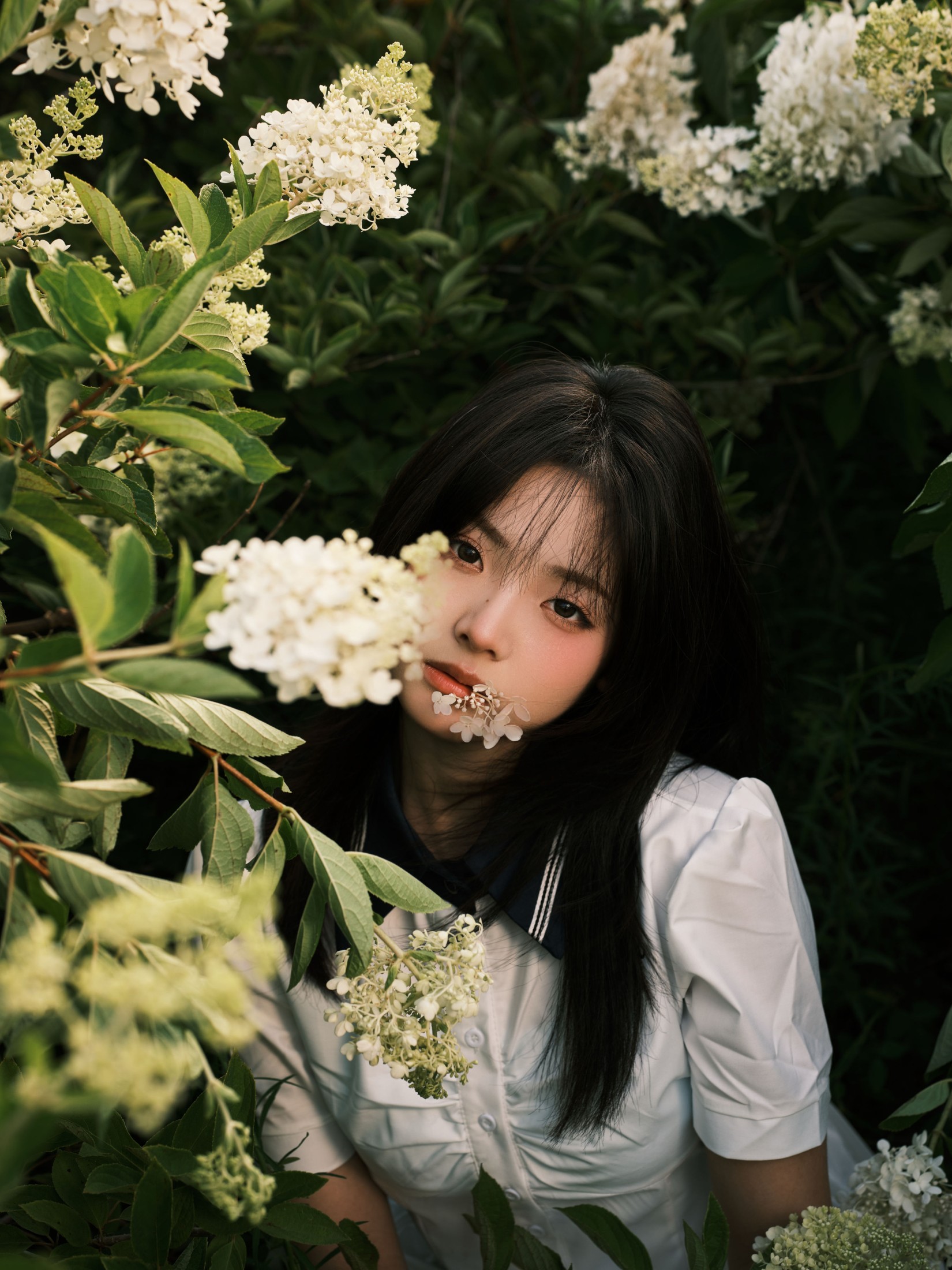 图片[4] - 炸洋芋 - 《绣球花》[13P] - 机器猫次元 - 机器猫次元