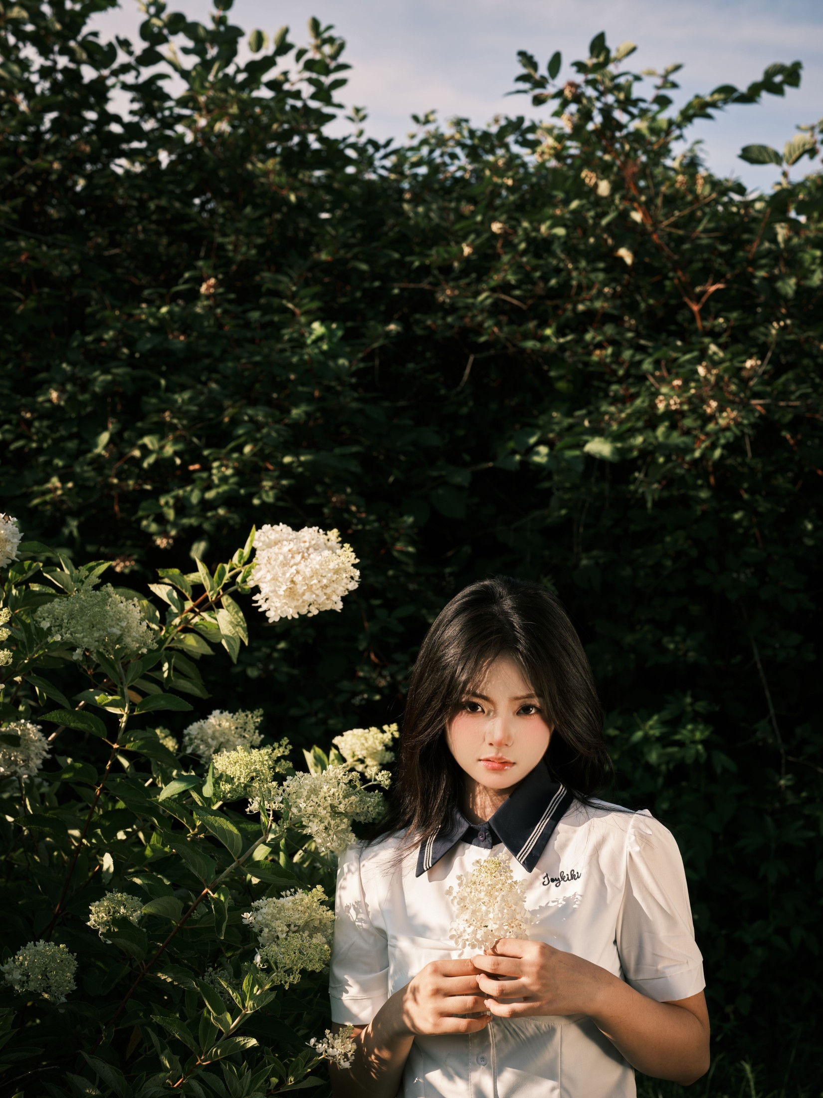 图片[3] - 炸洋芋 - 《绣球花》[13P] - 机器猫次元 - 机器猫次元