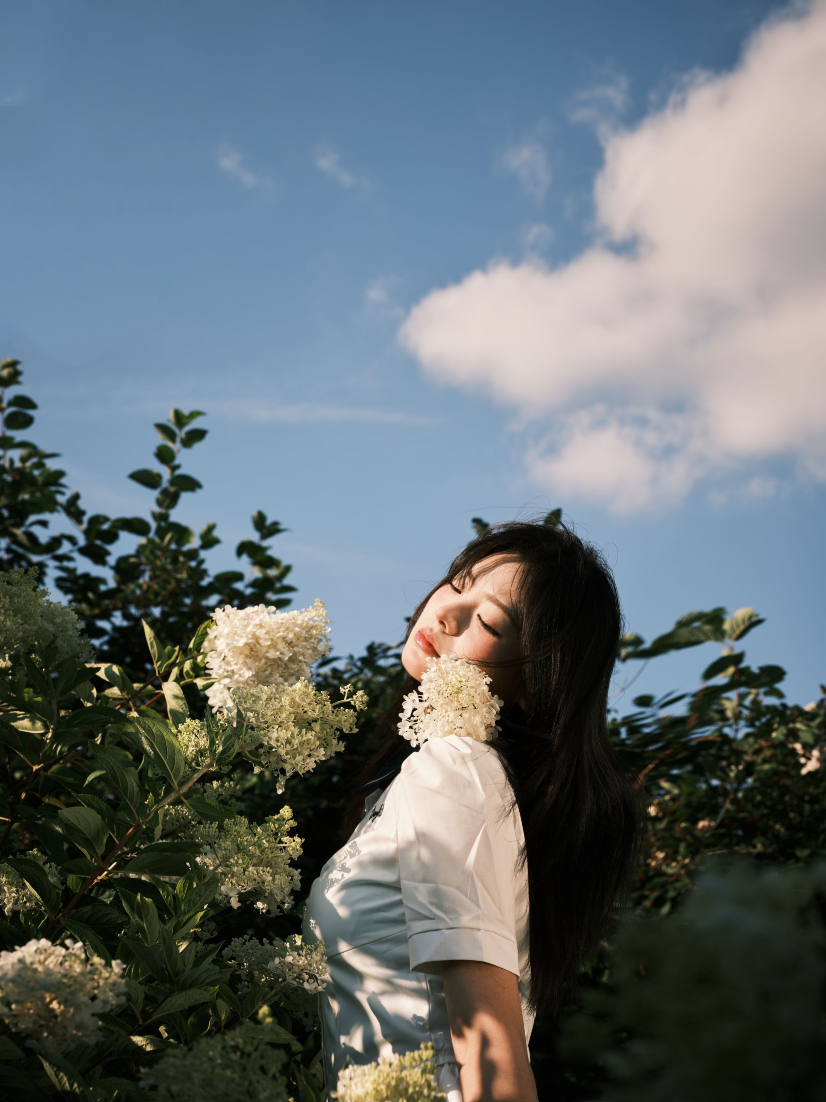 图片[1] - 炸洋芋 - 《绣球花》[13P] - 机器猫次元 - 机器猫次元
