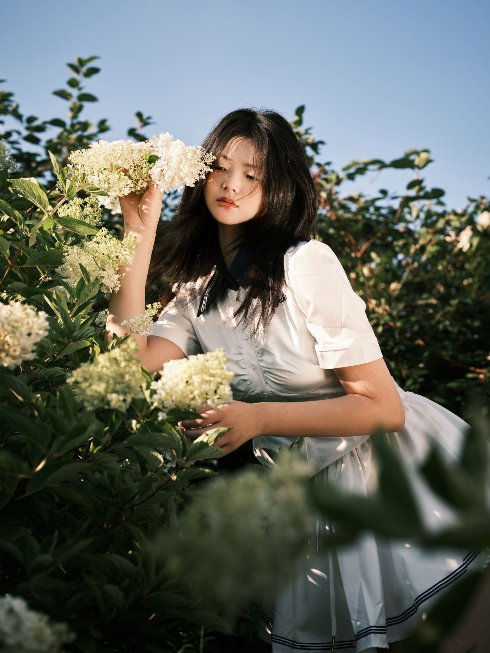 图片[7] - 炸洋芋 - 《绣球花》[13P] - 机器猫次元 - 机器猫次元