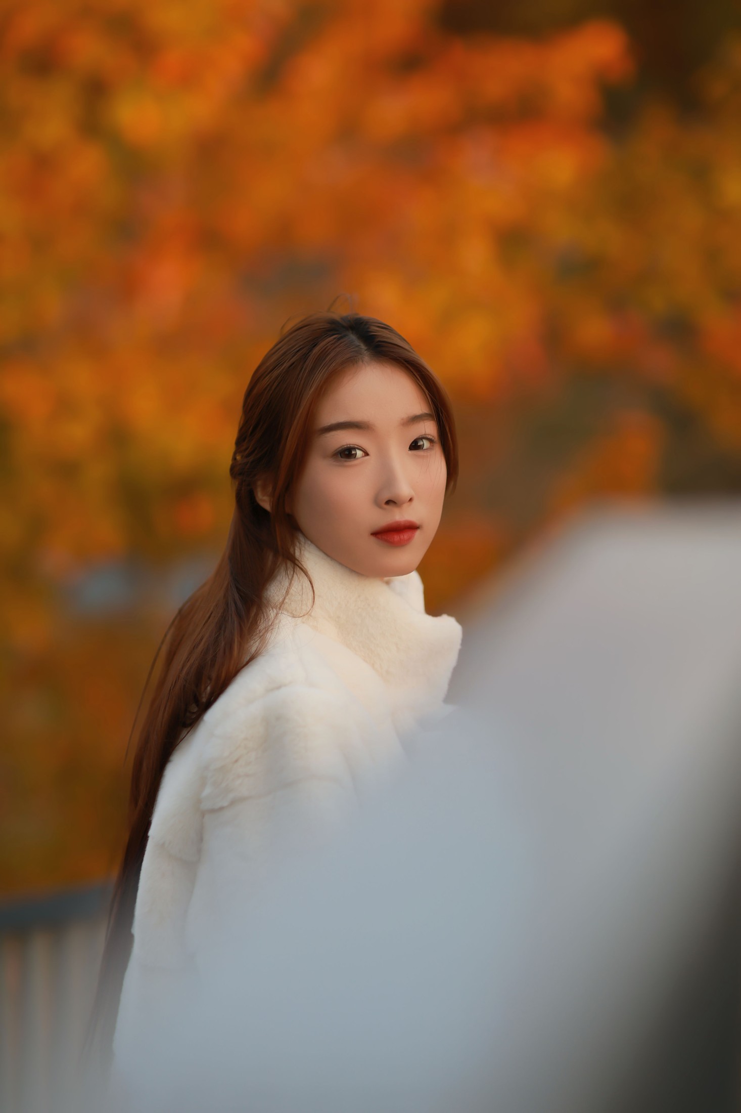 图片[6] - 婷子 - 《人间忽晚 山河已秋》[38P] - 机器猫次元 - 机器猫次元