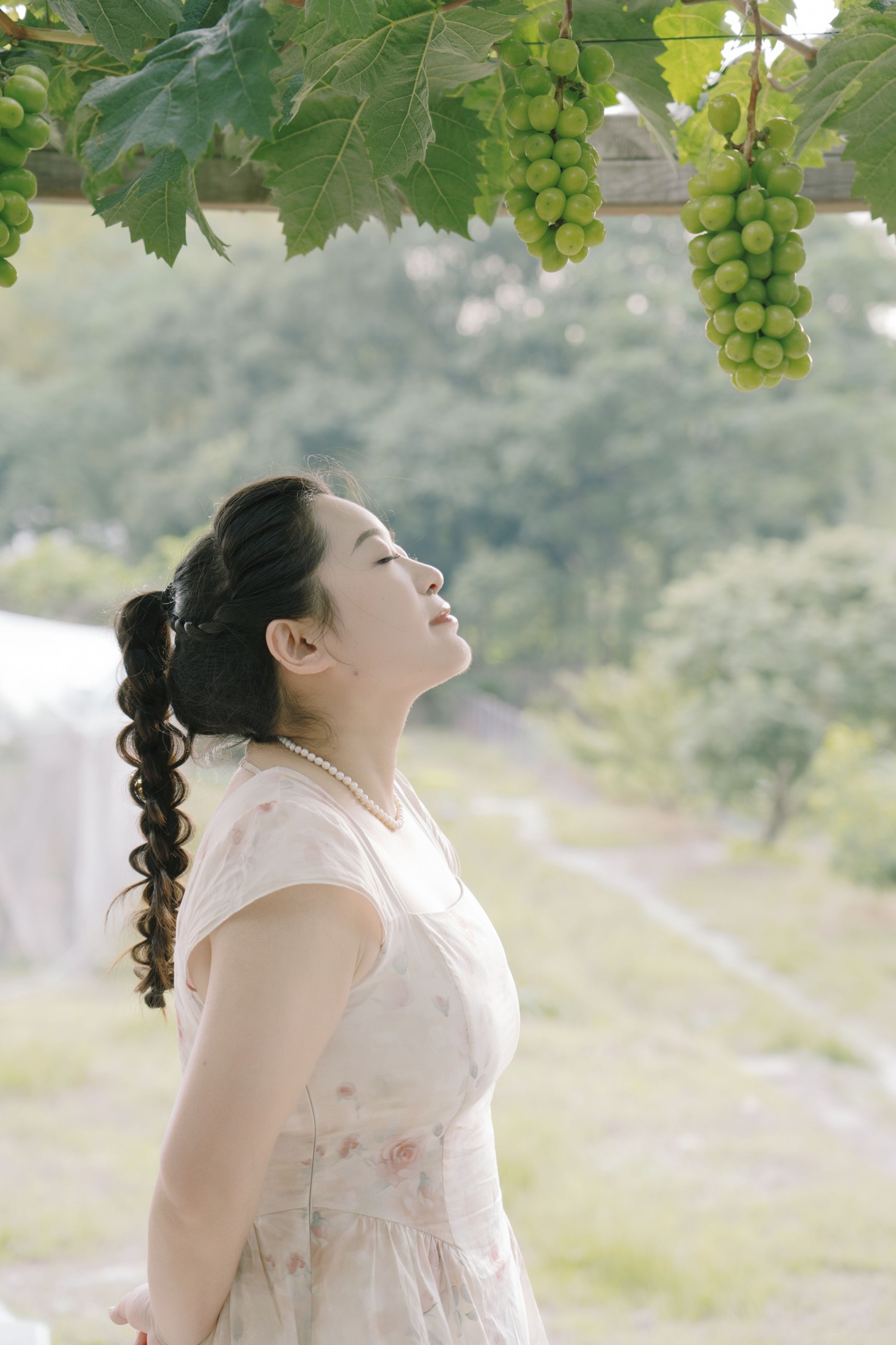 图片[3] - 菌菌 - 《青提之夏》[16P] - 机器猫次元 - 机器猫次元