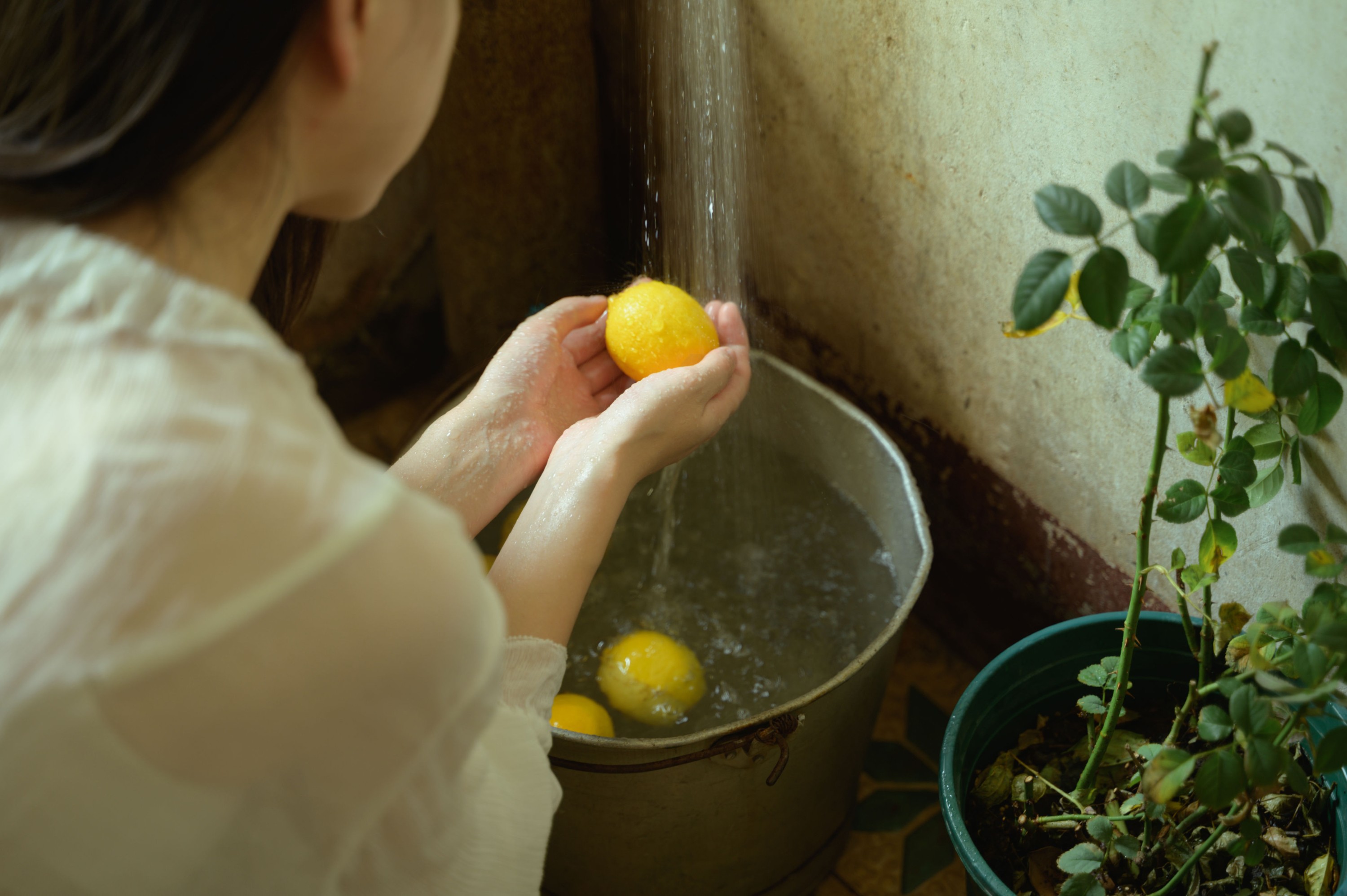 图片[1] - 阿梦的虎牙 - 《夏天的尾巴》[35P] - 机器猫次元 - 机器猫次元