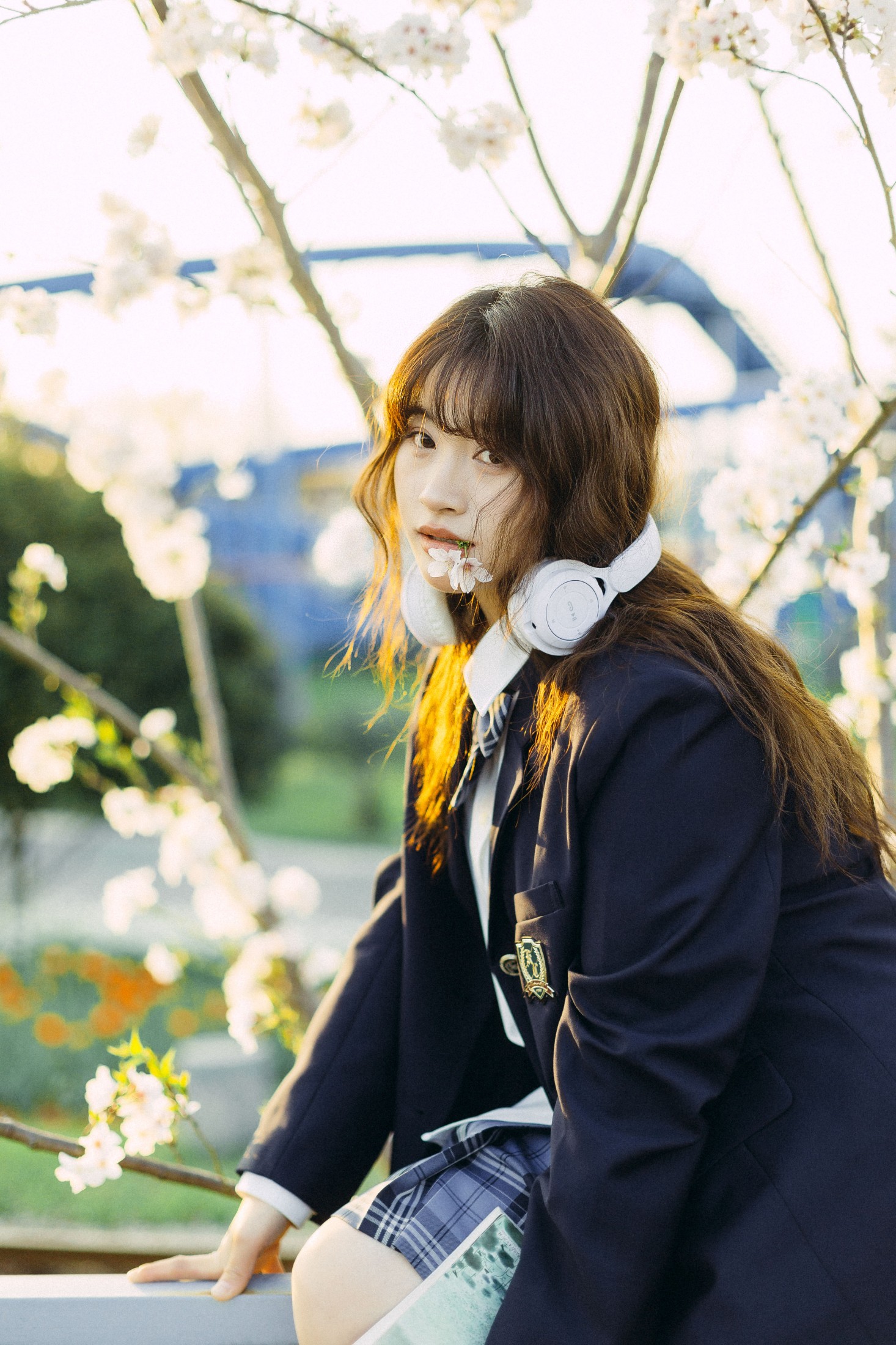 图片[3] - 是三三吖 - 《樱花树下》[18P] - 机器猫次元 - 机器猫次元