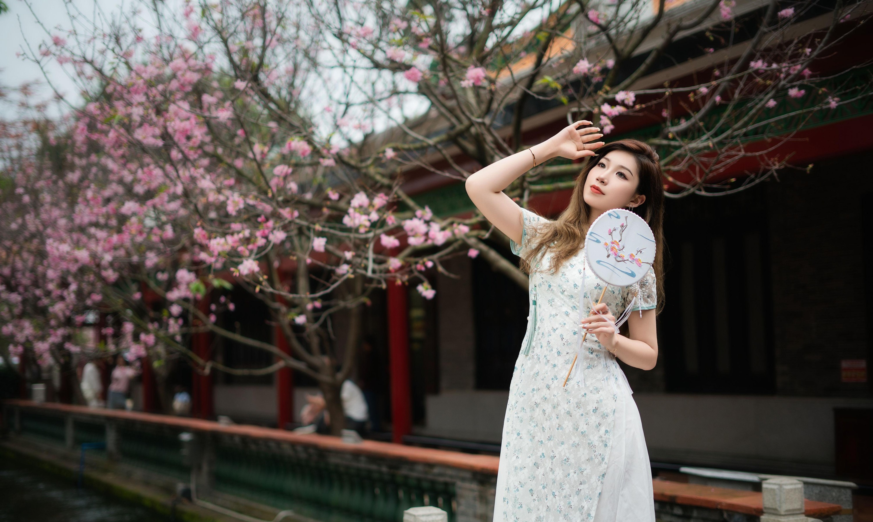 图片[2] - 辣鼻小新 - 《旗袍美女》[15P] - 机器猫次元 - 机器猫次元