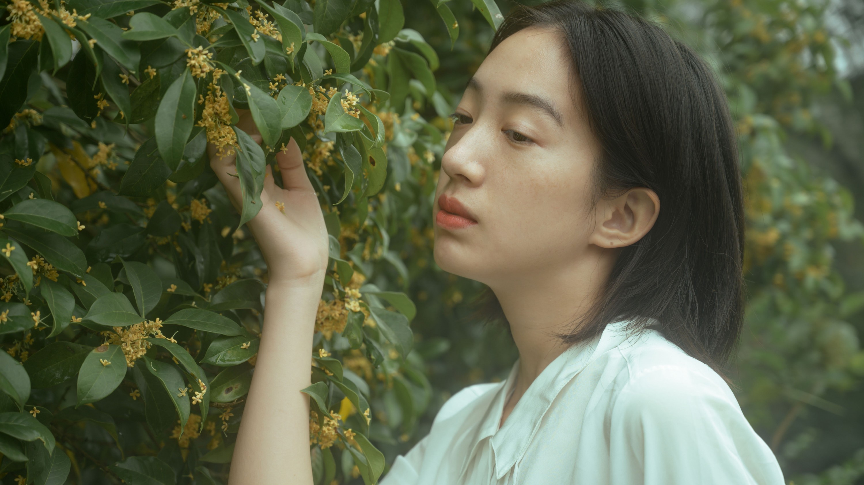 图片[1] - 子芸 - 《麦田晨雾》[26P] - 机器猫次元 - 机器猫次元