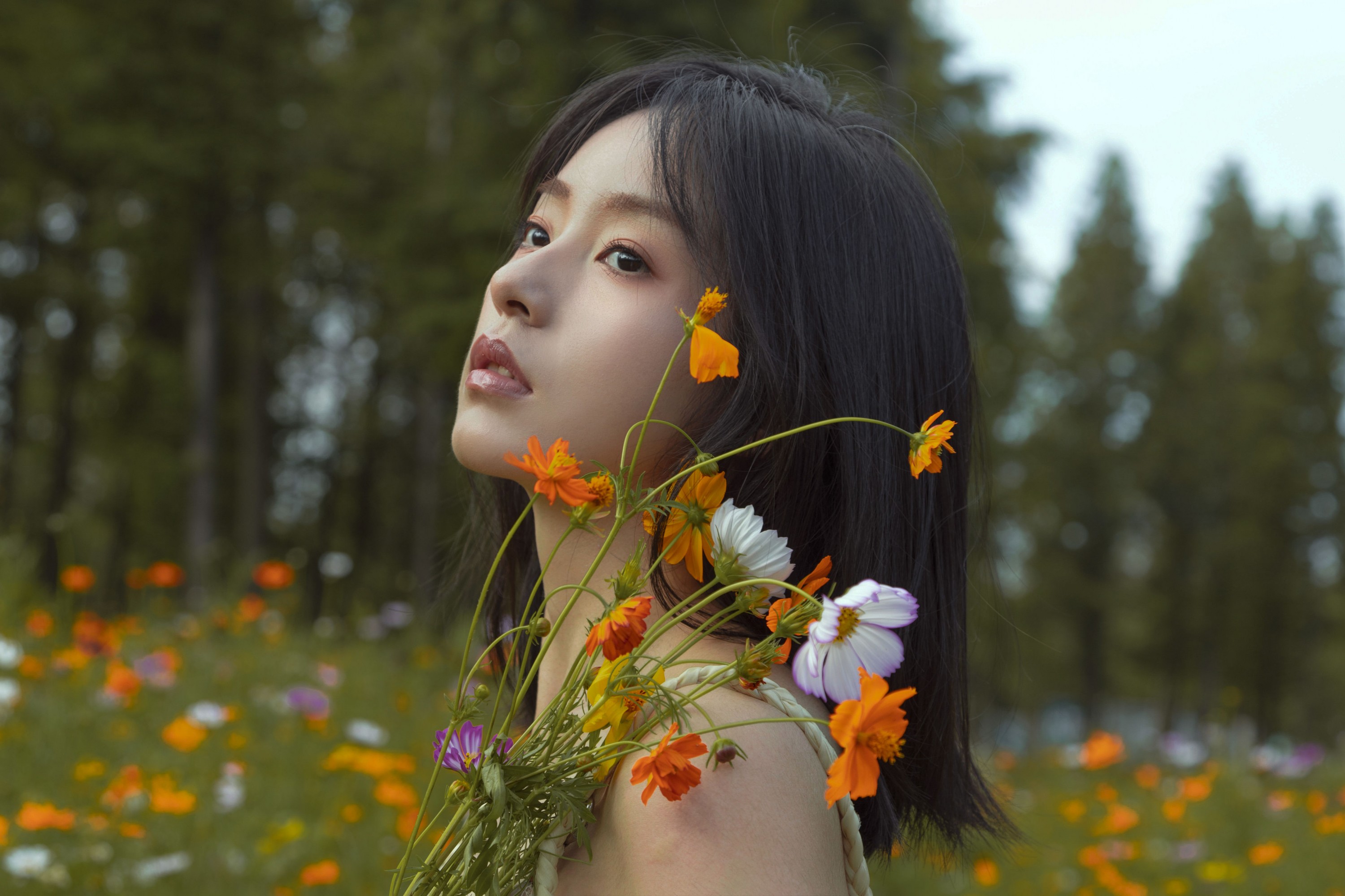 图片[3] - ahs - 《如花在野》[13P] - 机器猫次元 - 机器猫次元