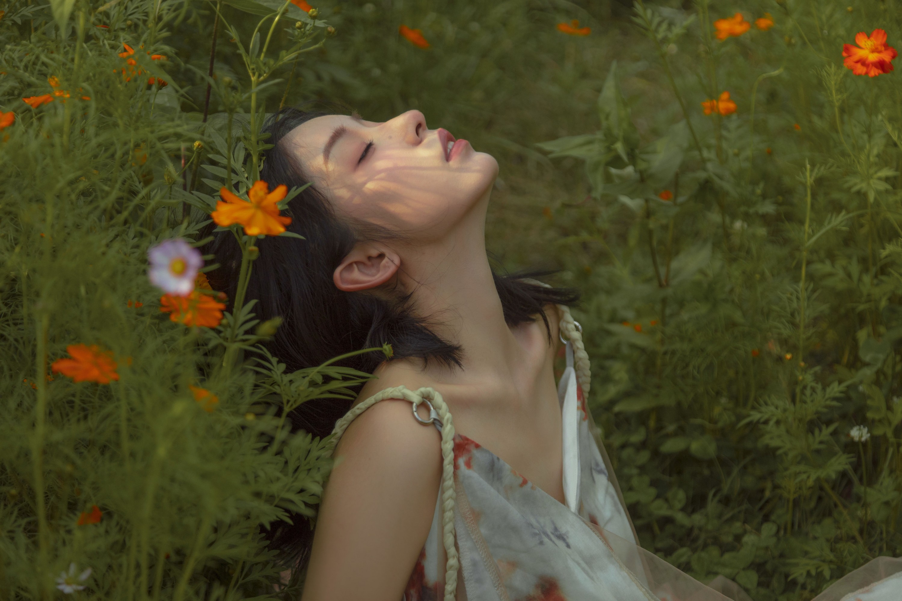 图片[5] - ahs - 《如花在野》[13P] - 机器猫次元 - 机器猫次元