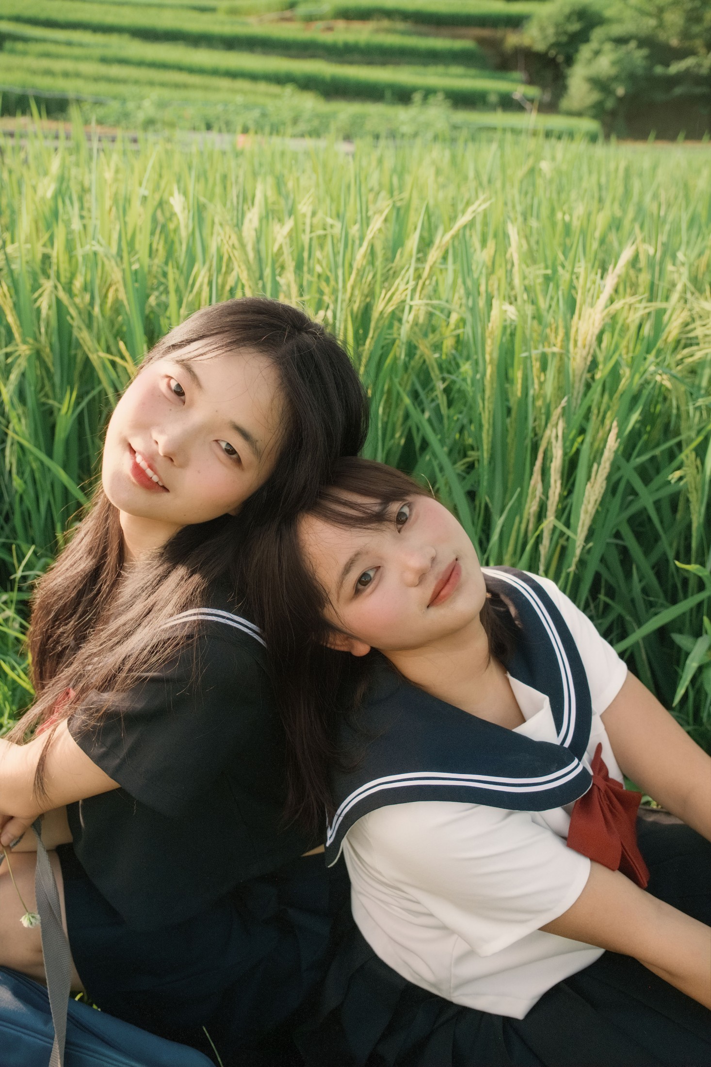 图片[7] - 十一～ 幸运汤圆 - 《稻香》[40P] - 机器猫次元 - 机器猫次元