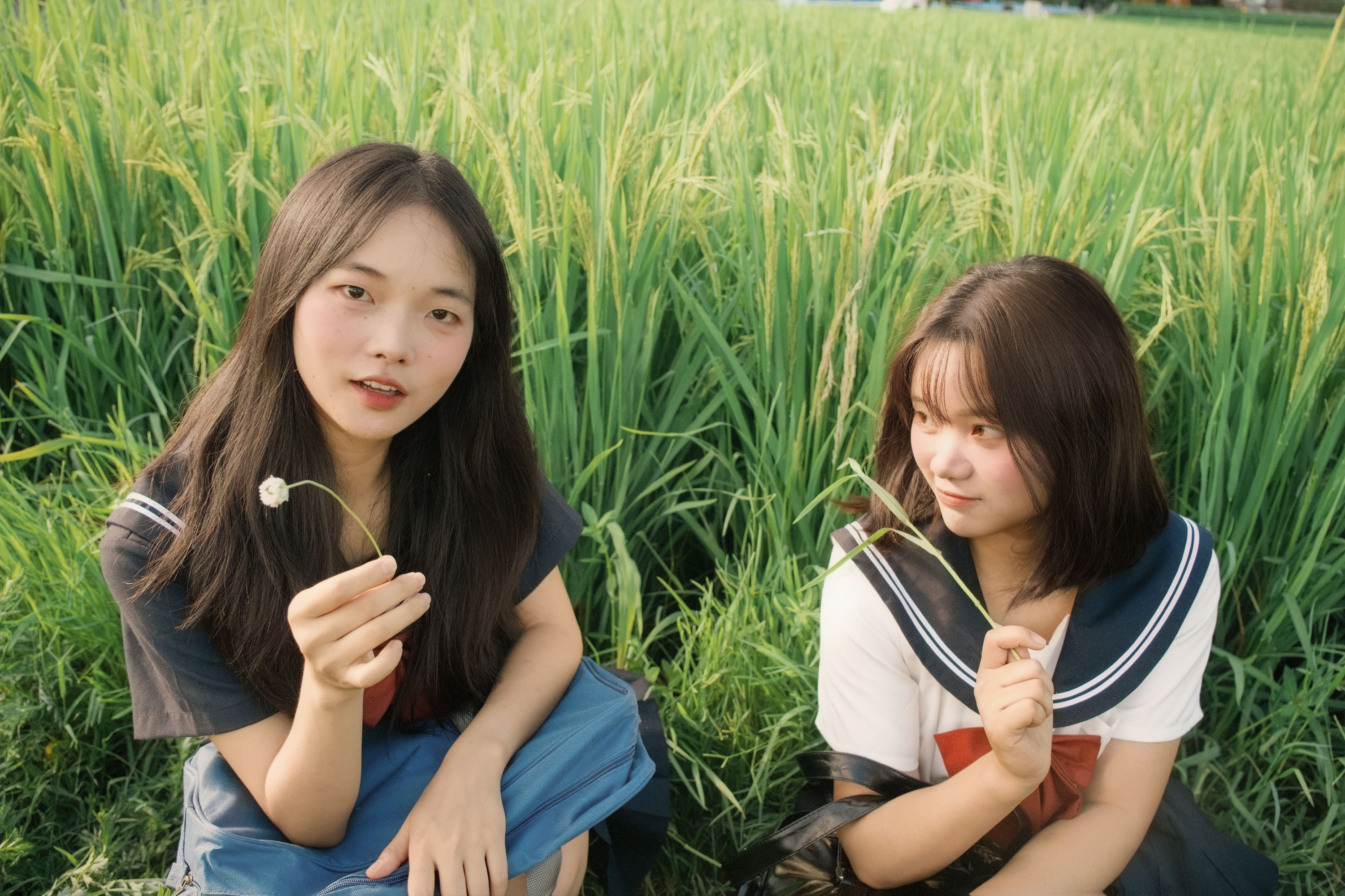 图片[3] - 十一～ 幸运汤圆 - 《稻香》[40P] - 机器猫次元 - 机器猫次元