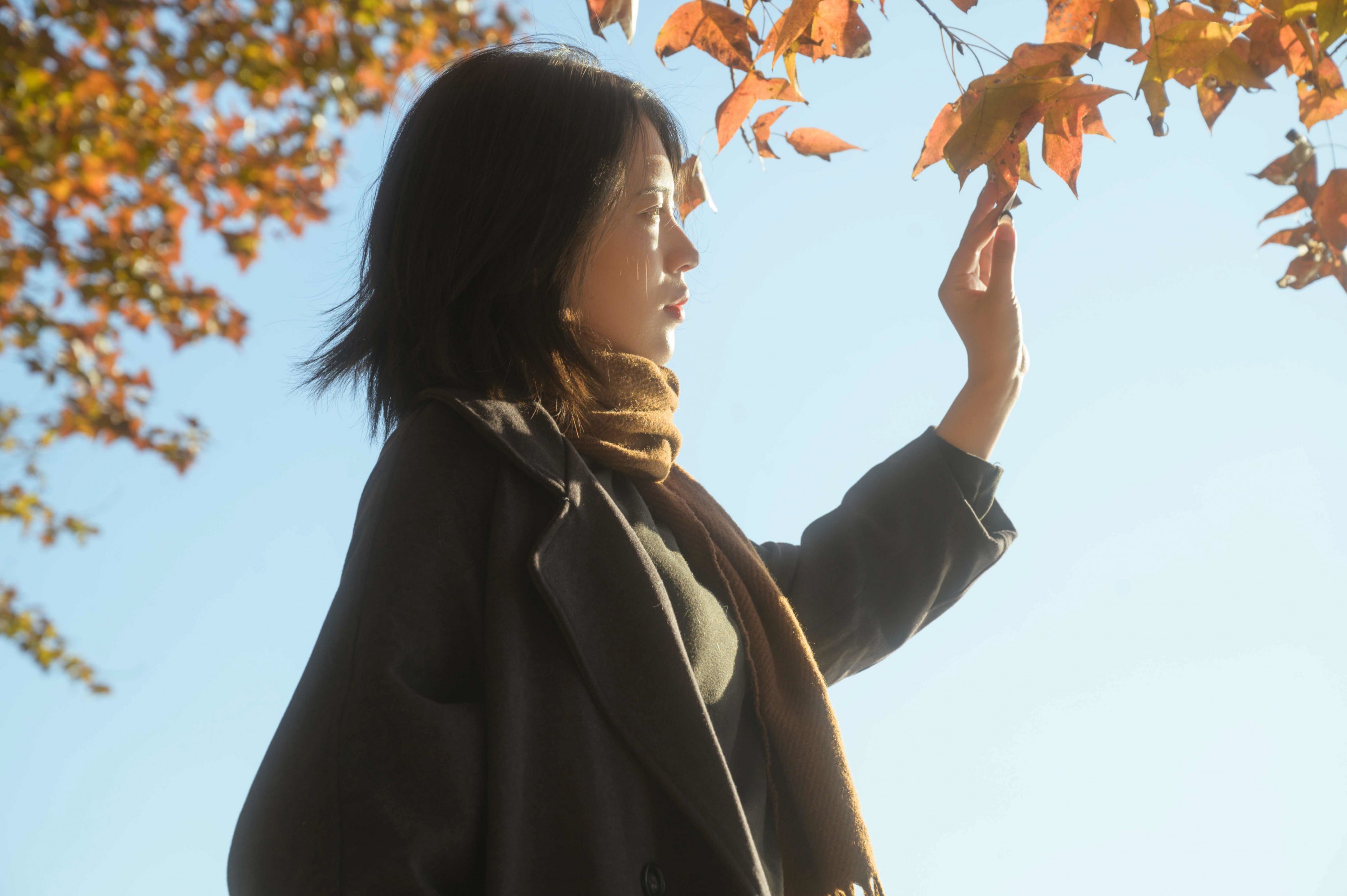 图片[6] - 2000 - 《又是一年秋》[27P] - 机器猫次元 - 机器猫次元