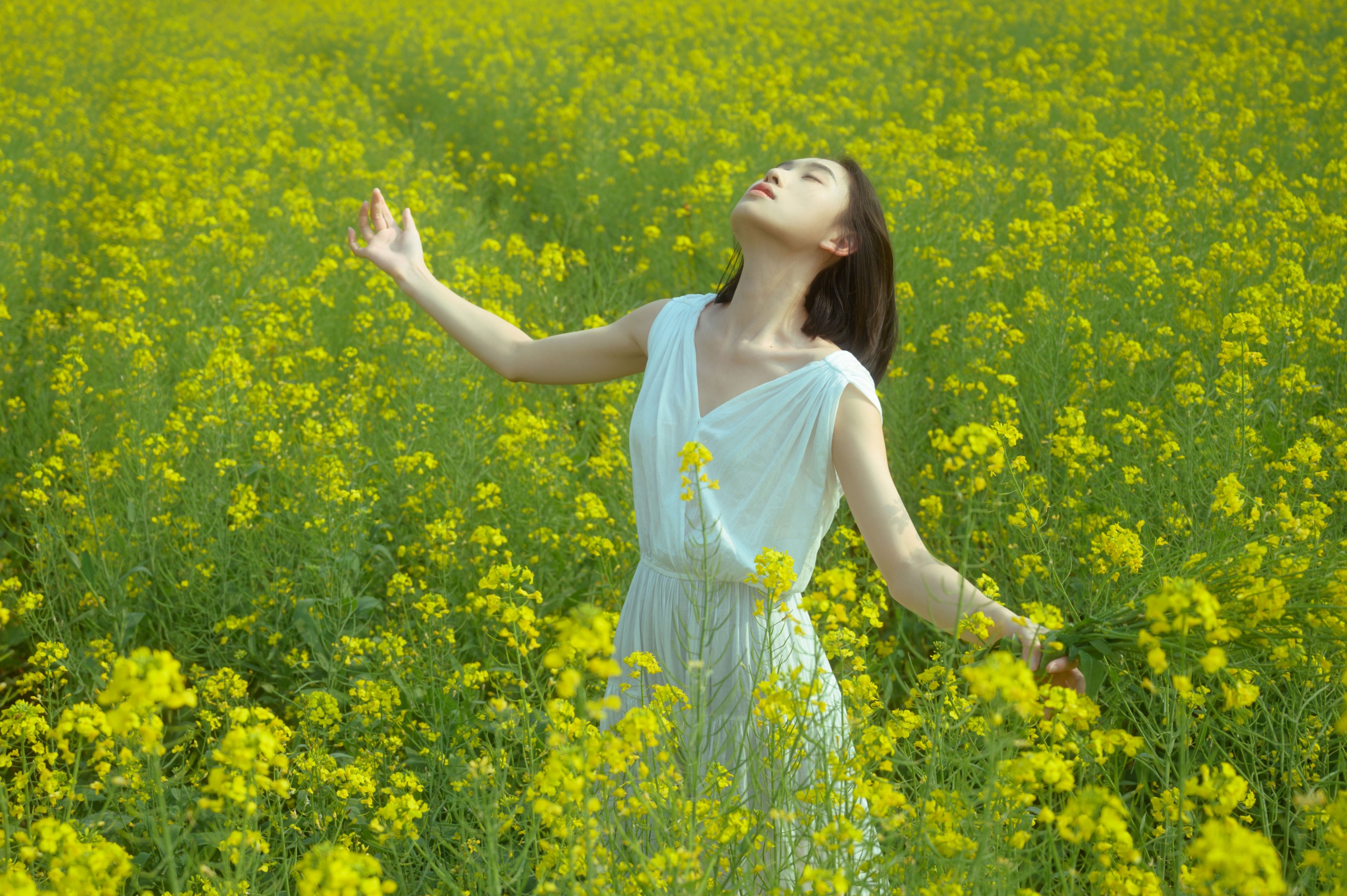 图片[1] - 心洁 - 《蝴蝶与油菜花》[32P] - 机器猫次元 - 机器猫次元