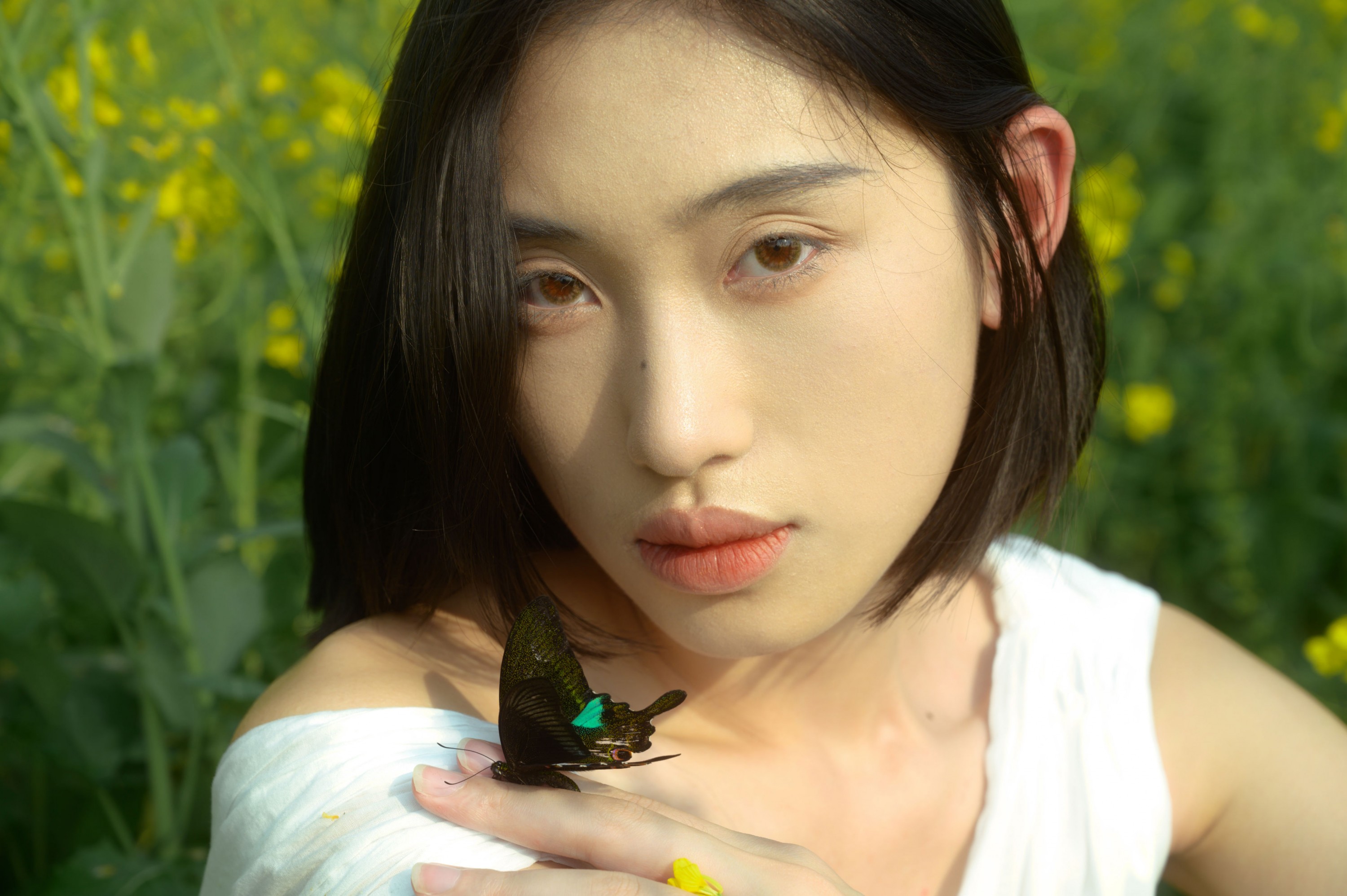 图片[7] - 心洁 - 《蝴蝶与油菜花》[32P] - 机器猫次元 - 机器猫次元