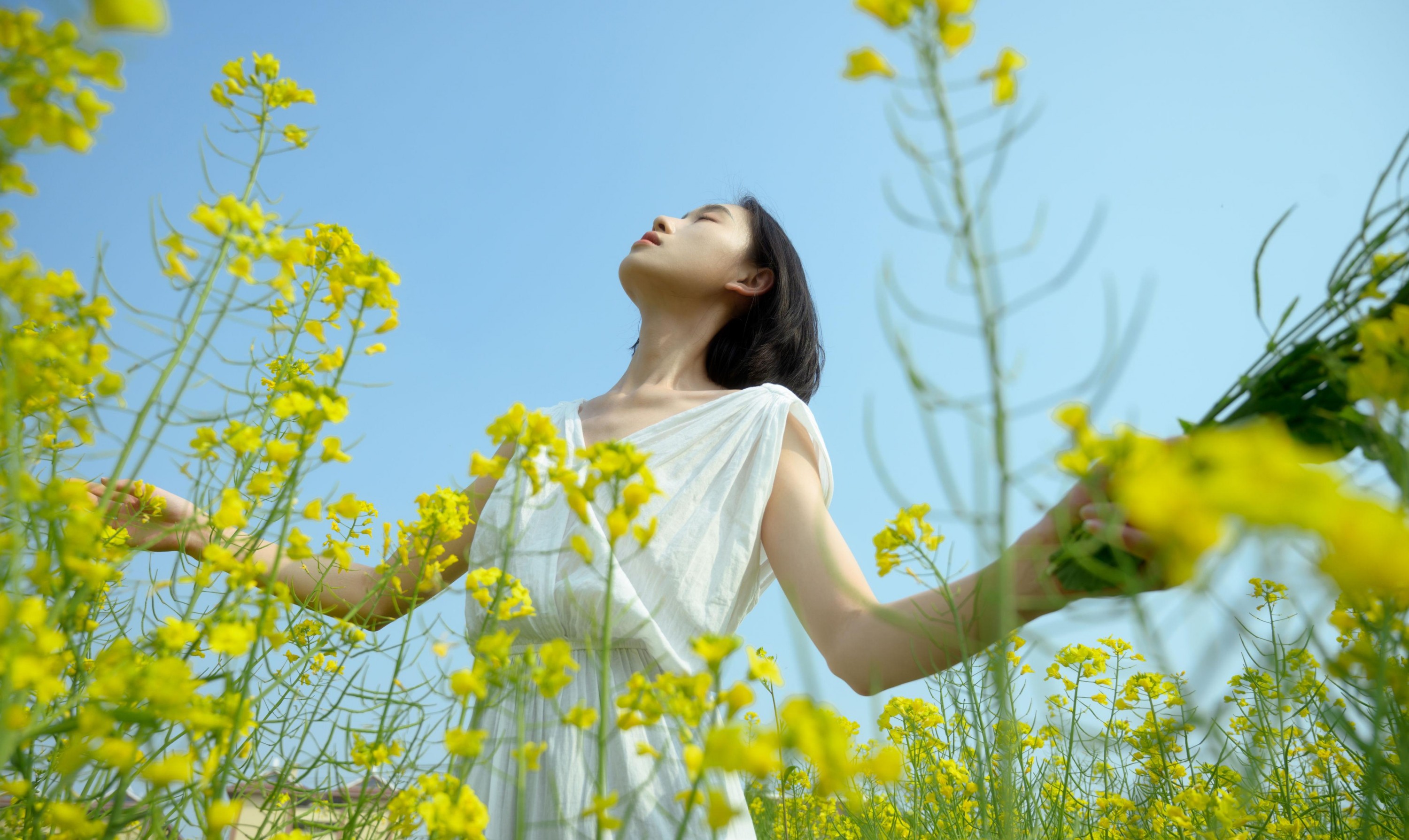 图片[2] - 心洁 - 《蝴蝶与油菜花》[32P] - 机器猫次元 - 机器猫次元