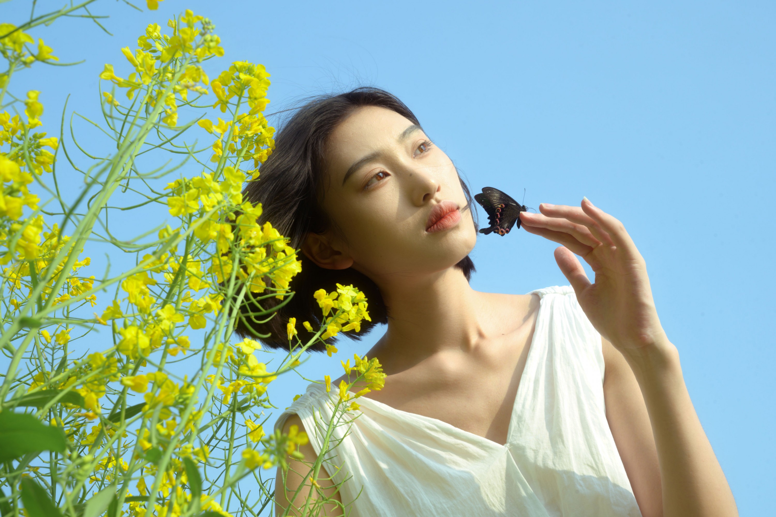 图片[5] - 心洁 - 《蝴蝶与油菜花》[32P] - 机器猫次元 - 机器猫次元