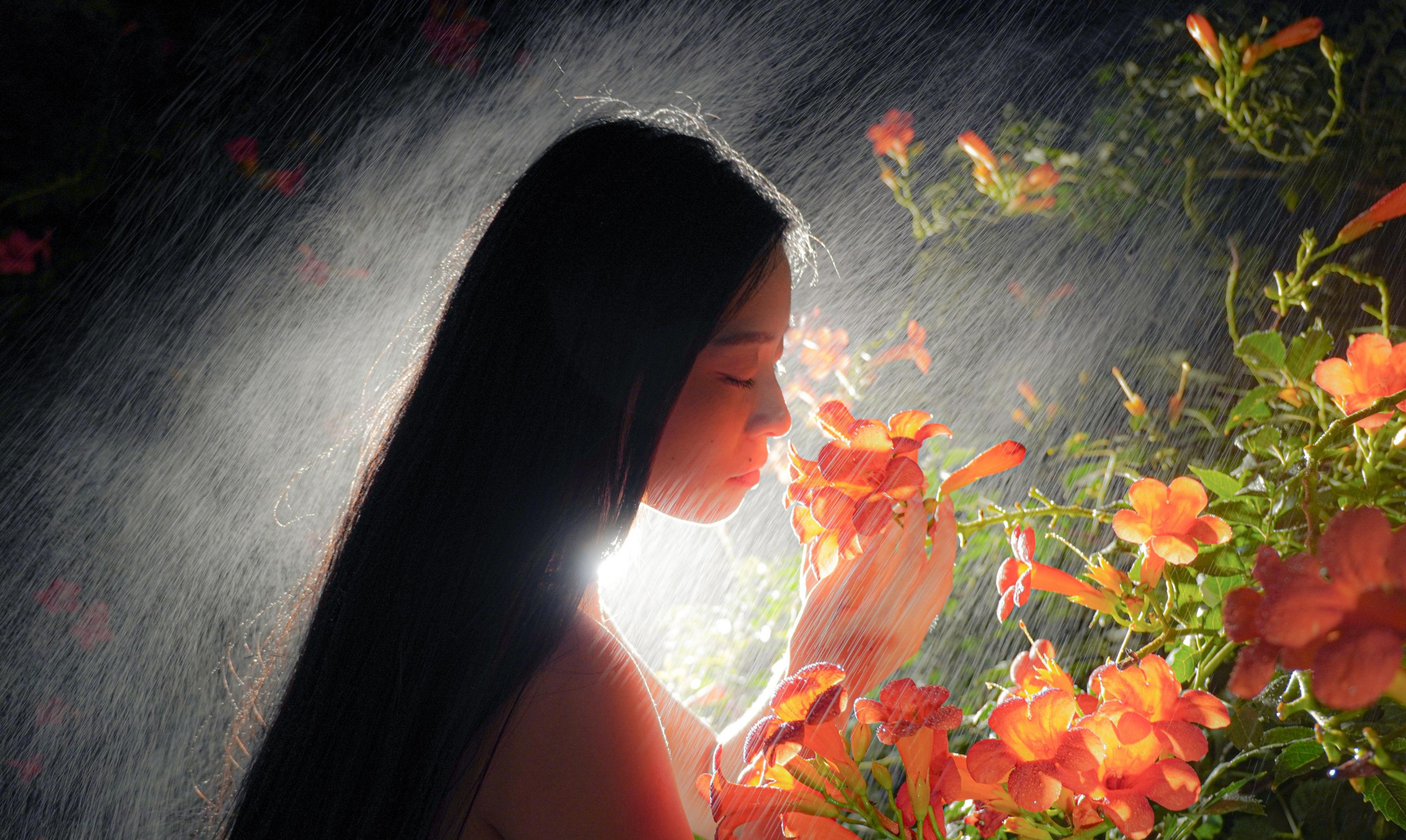 图片[2] - - 《梦里花》[11P] - 机器猫次元 - 机器猫次元