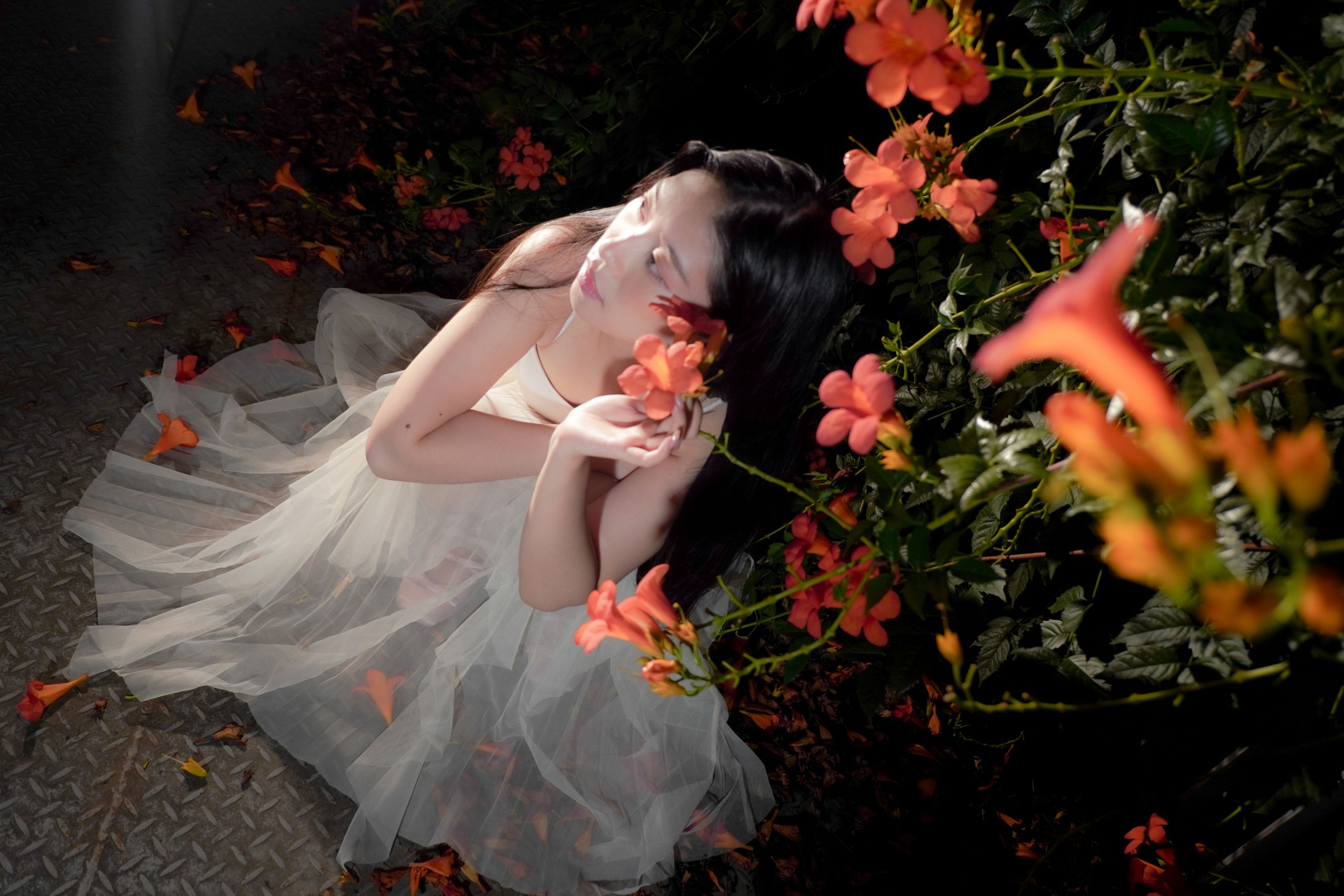 图片[6] - - 《梦里花》[11P] - 机器猫次元 - 机器猫次元
