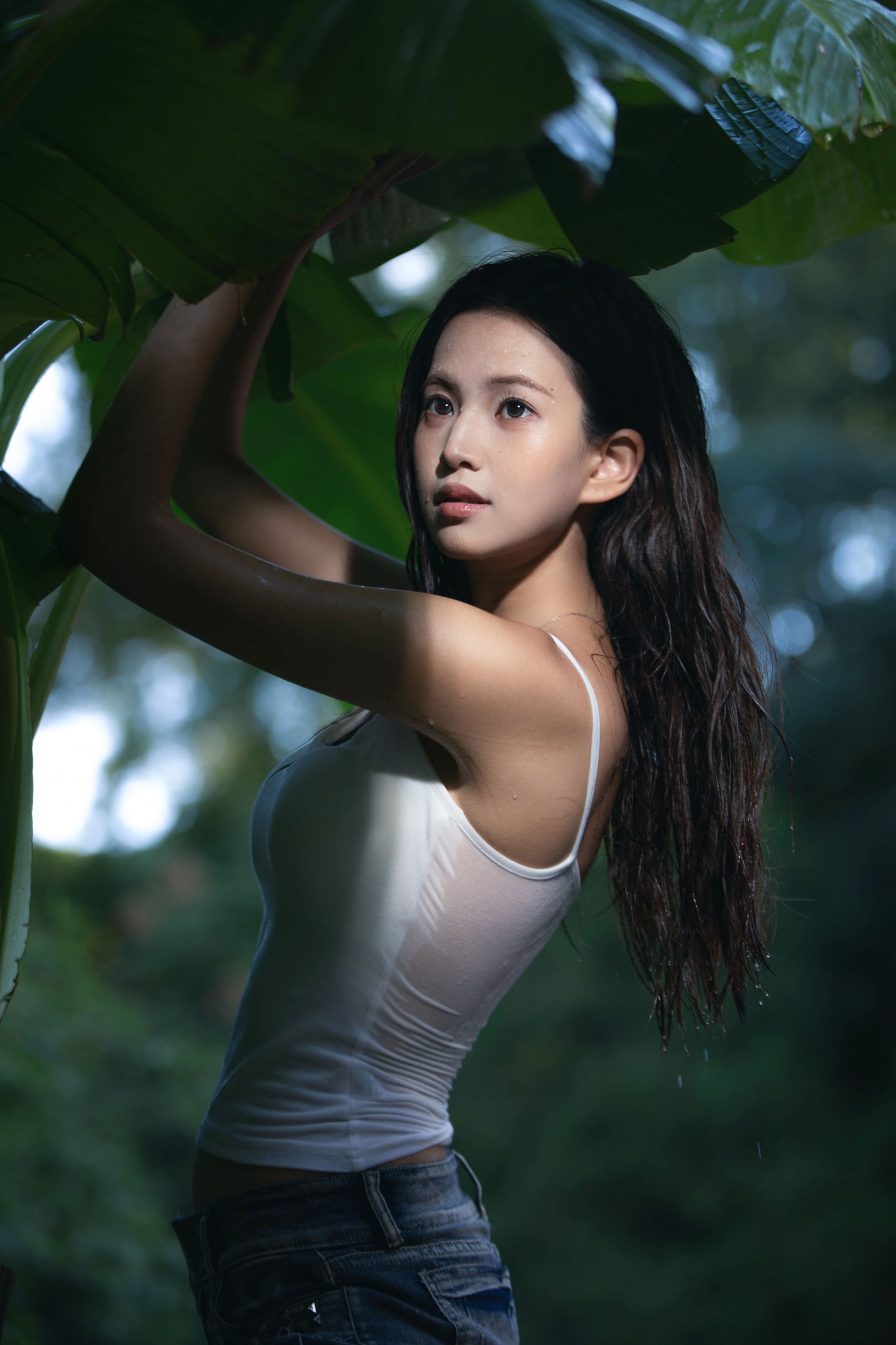 图片[8] - - 《雨打芭蕉》[17P] - 机器猫次元 - 机器猫次元