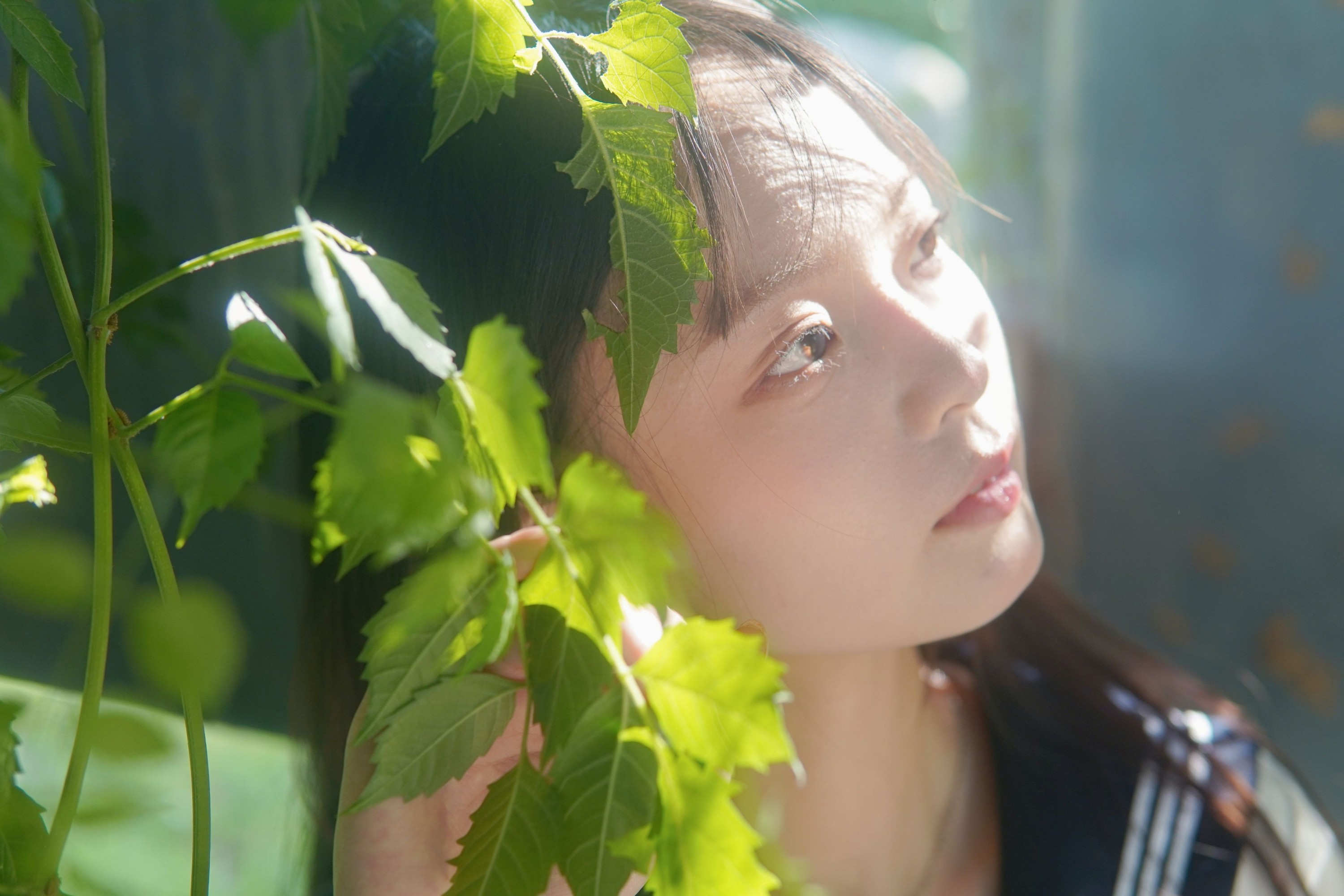 图片[1] - - 《凌霄花开》[12P] - 机器猫次元 - 机器猫次元