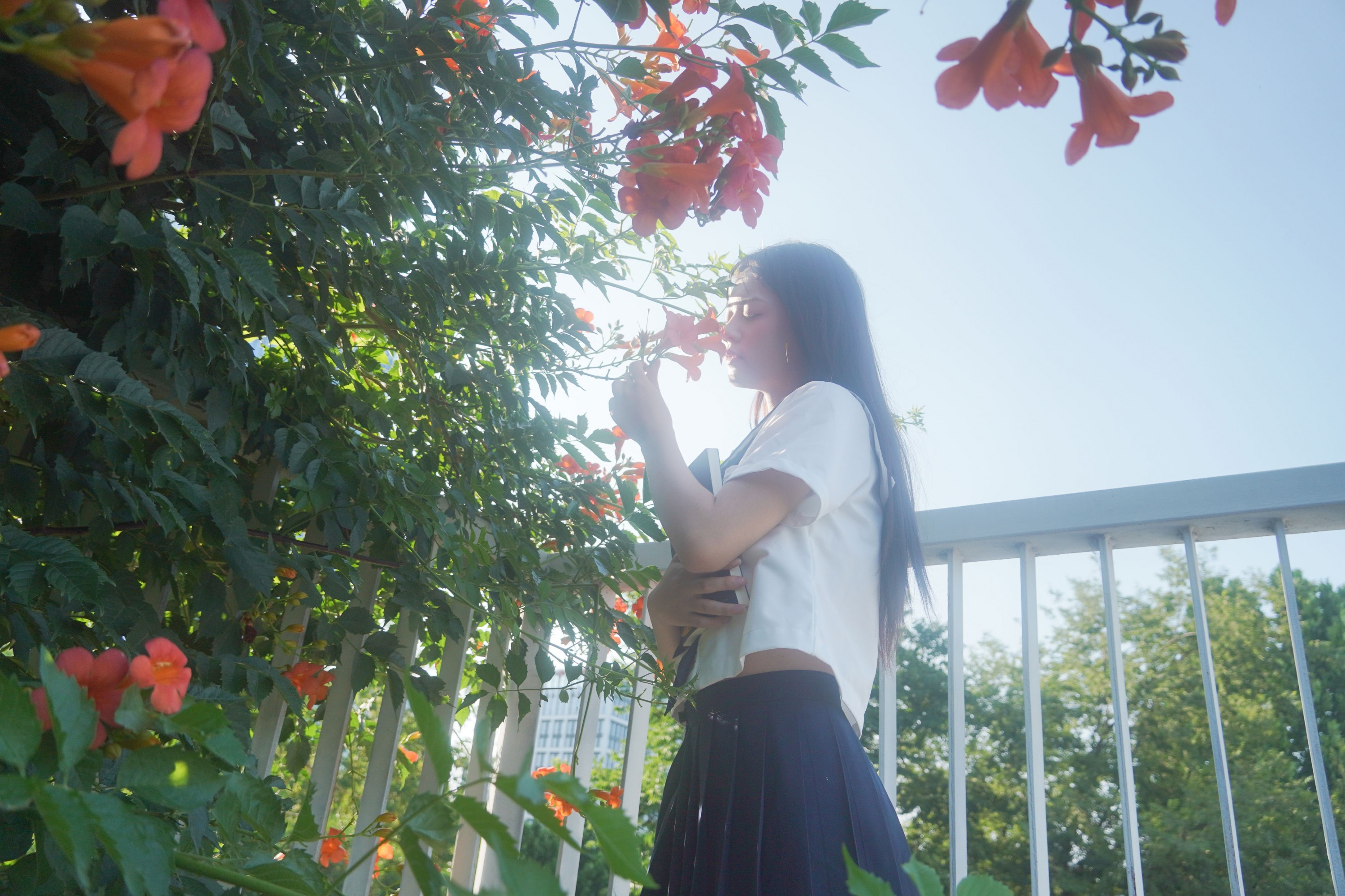 图片[4] - - 《凌霄花开》[12P] - 机器猫次元 - 机器猫次元