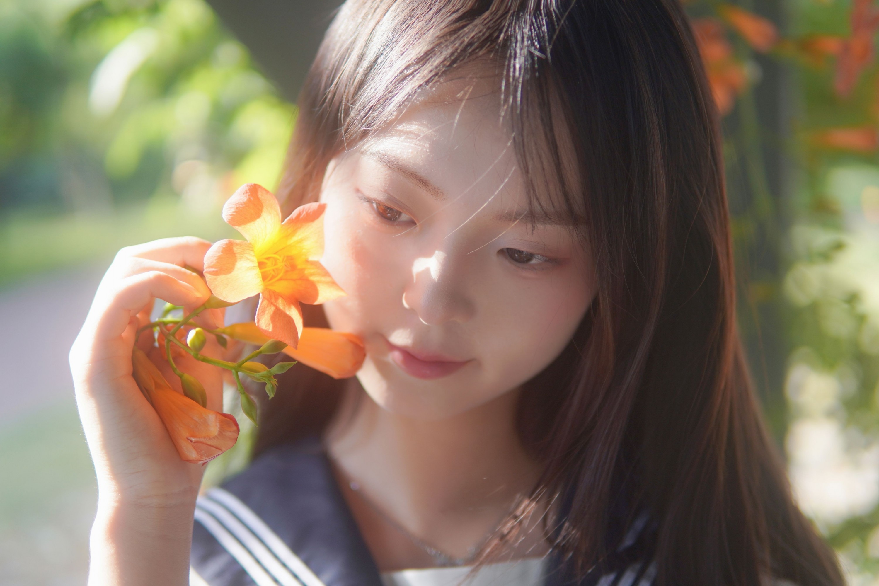 图片[3] - - 《凌霄花开》[12P] - 机器猫次元 - 机器猫次元