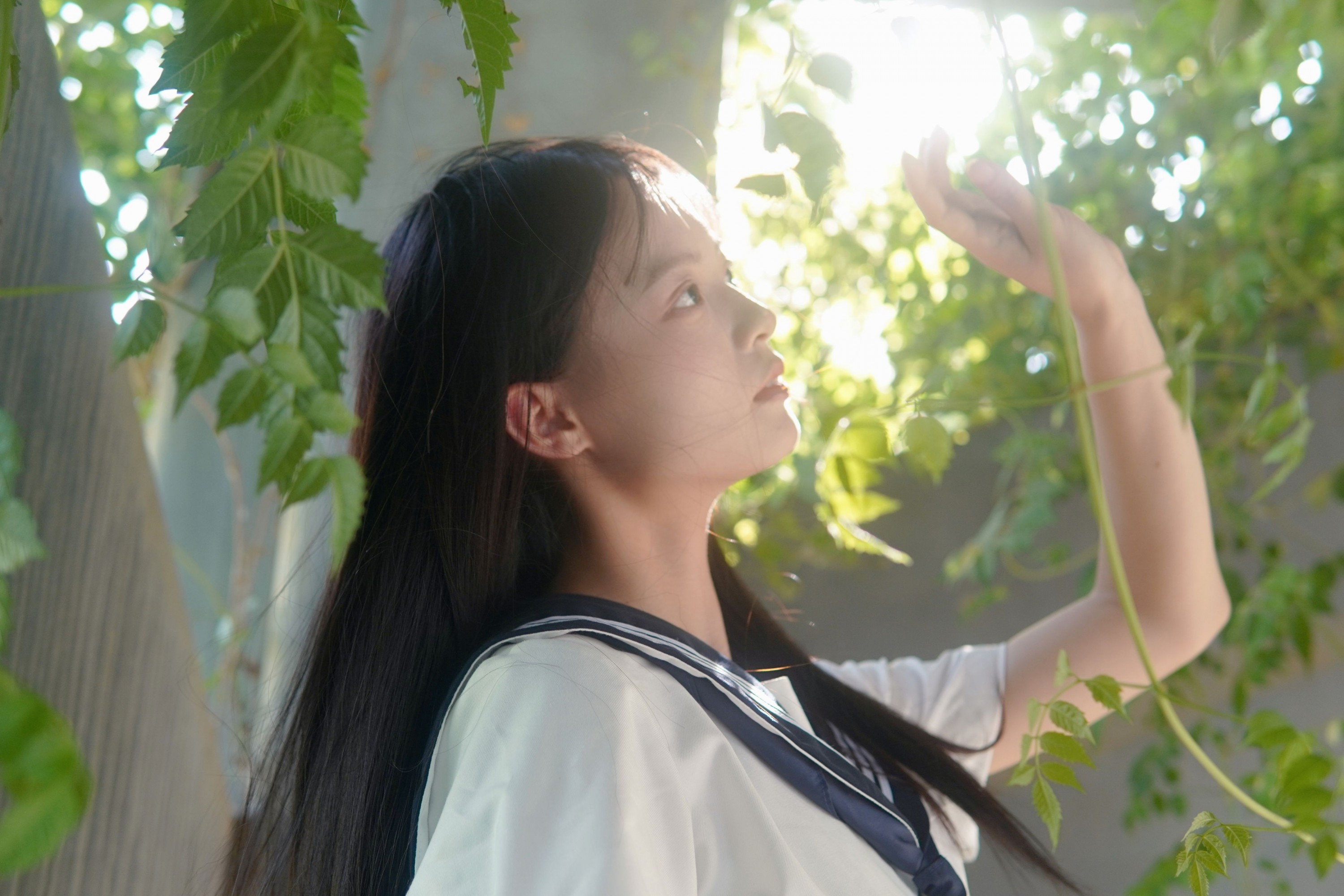 图片[8] - - 《凌霄花开》[12P] - 机器猫次元 - 机器猫次元
