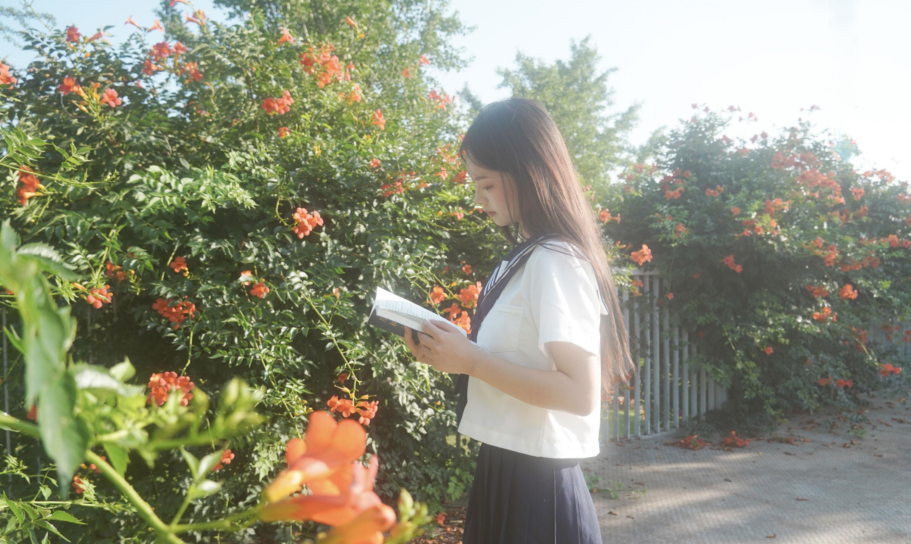 图片[2] - - 《凌霄花开》[12P] - 机器猫次元 - 机器猫次元