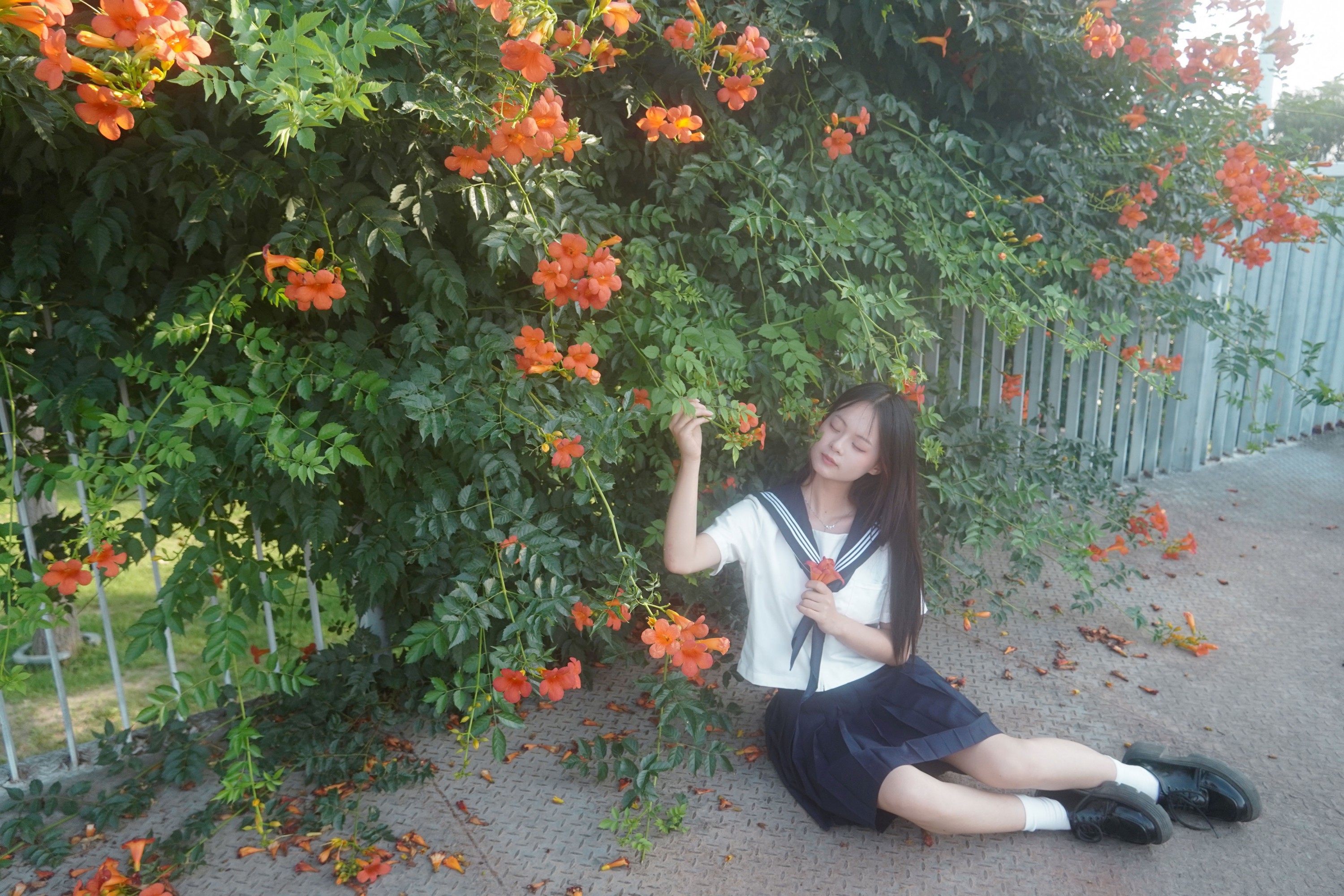 图片[7] - - 《凌霄花开》[12P] - 机器猫次元 - 机器猫次元
