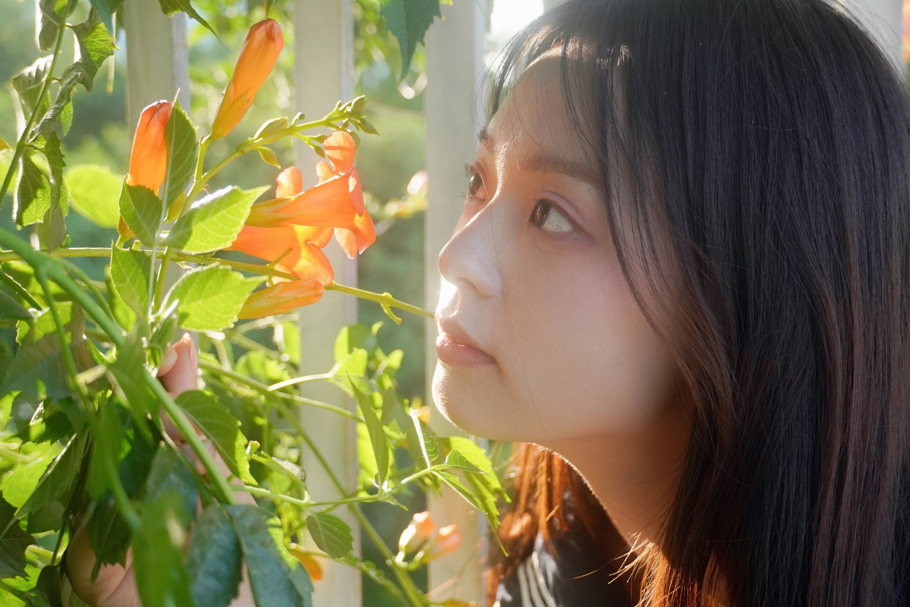 图片[5] - - 《凌霄花开》[12P] - 机器猫次元 - 机器猫次元