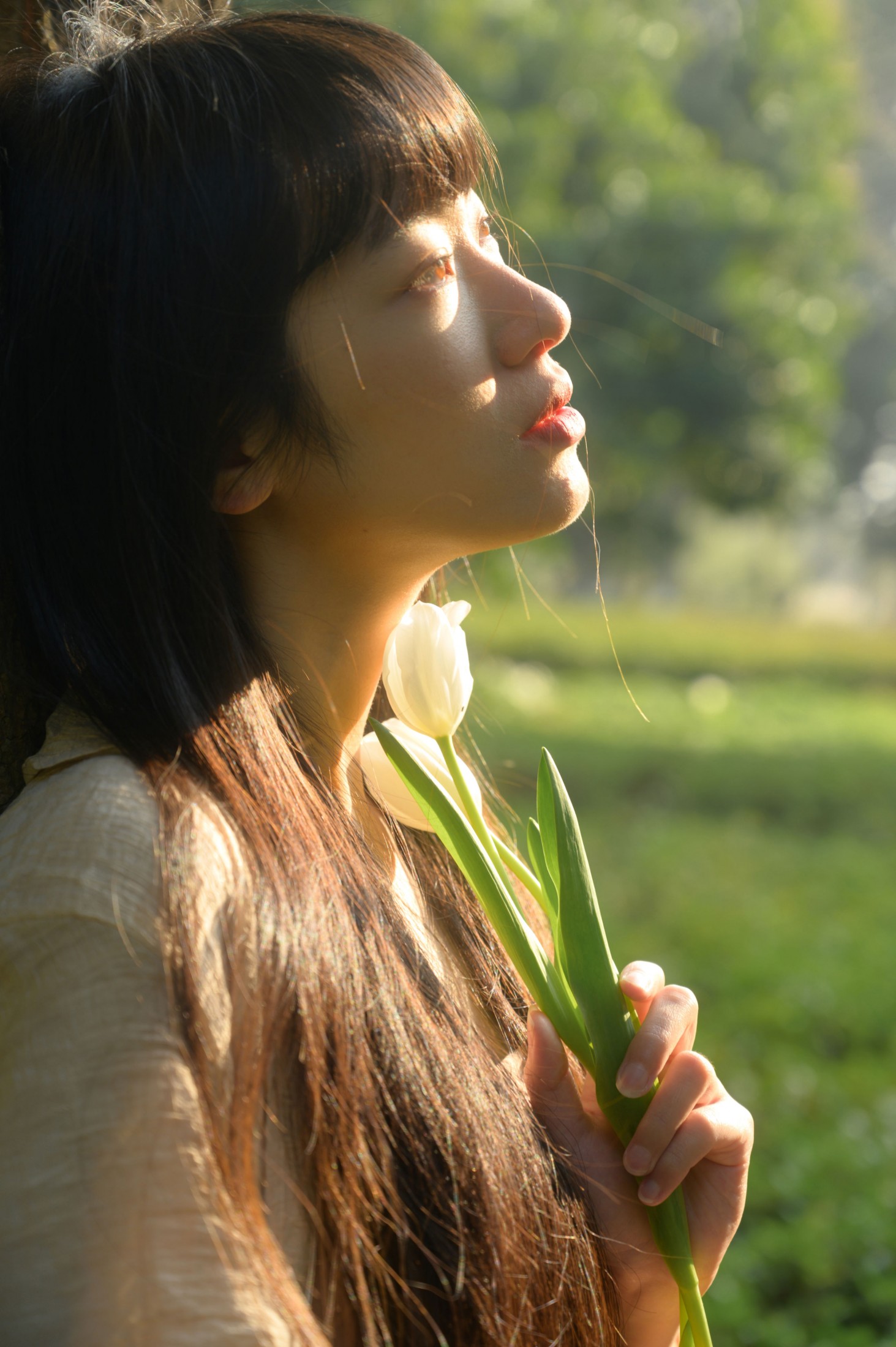 图片[1] - 山野小果 - 《光与郁金香》[20P] - 机器猫次元 - 机器猫次元