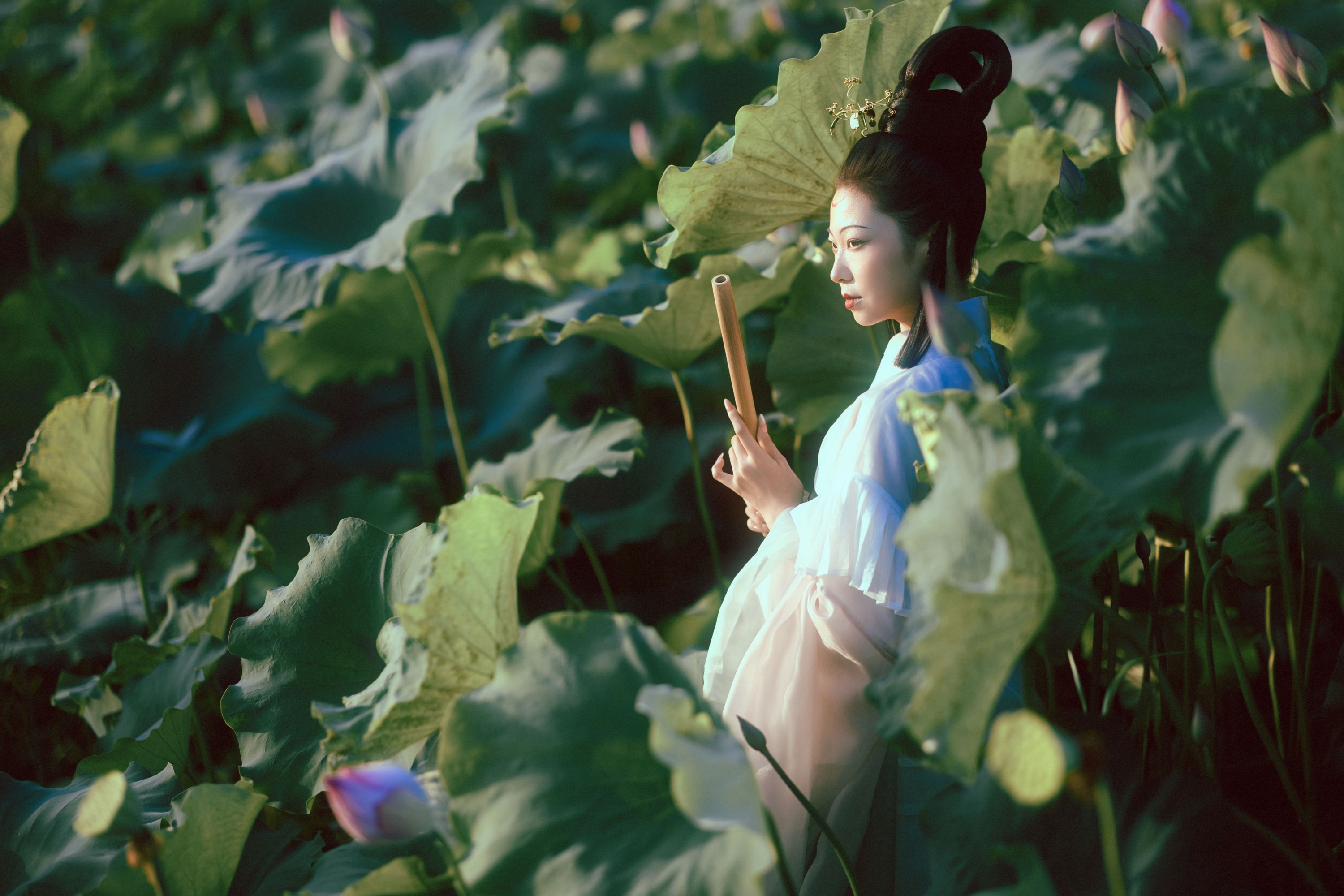 图片[5] - 有有。 - 《晚荷》[37P] - 机器猫次元 - 机器猫次元
