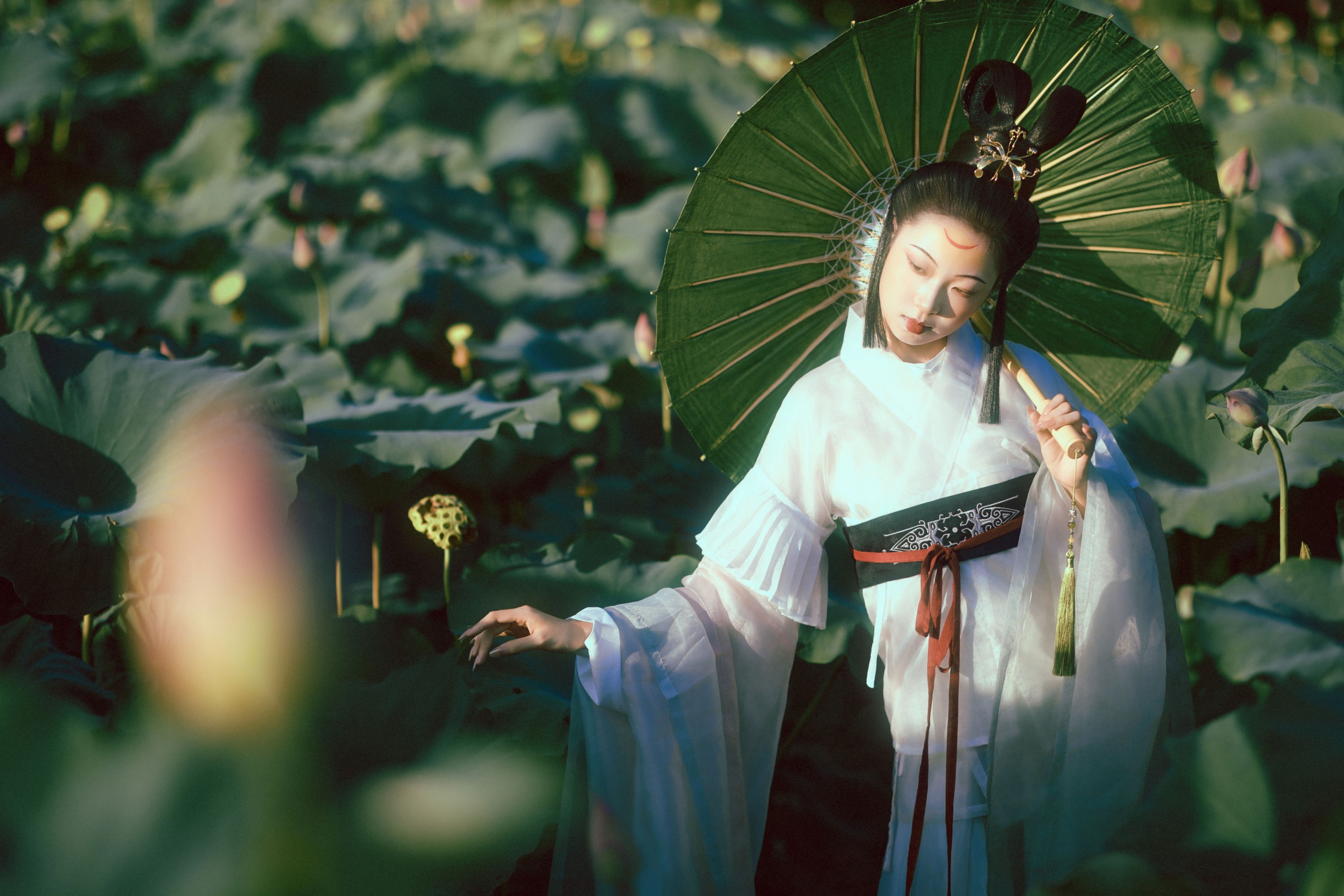 图片[3] - 有有。 - 《晚荷》[37P] - 机器猫次元 - 机器猫次元