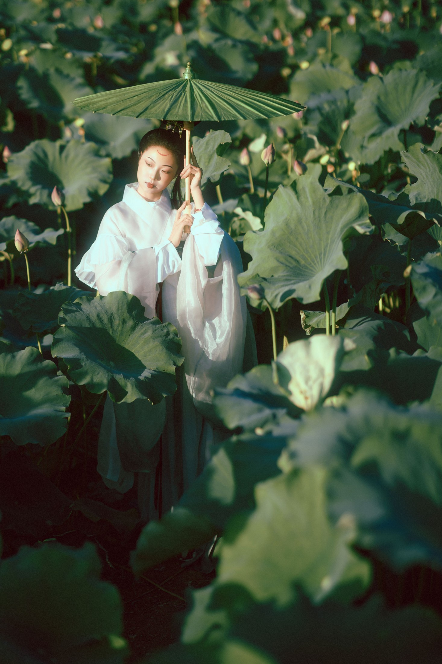 图片[1] - 有有。 - 《晚荷》[37P] - 机器猫次元 - 机器猫次元