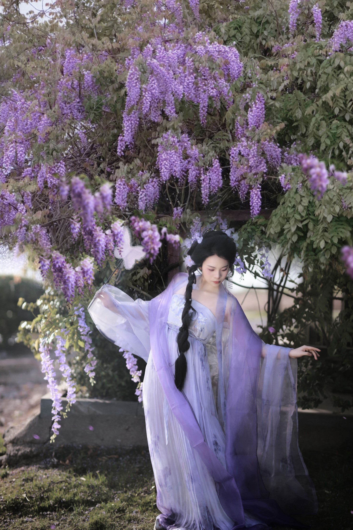 图片[7] - - 《紫藤花开》[11P] - 机器猫次元 - 机器猫次元