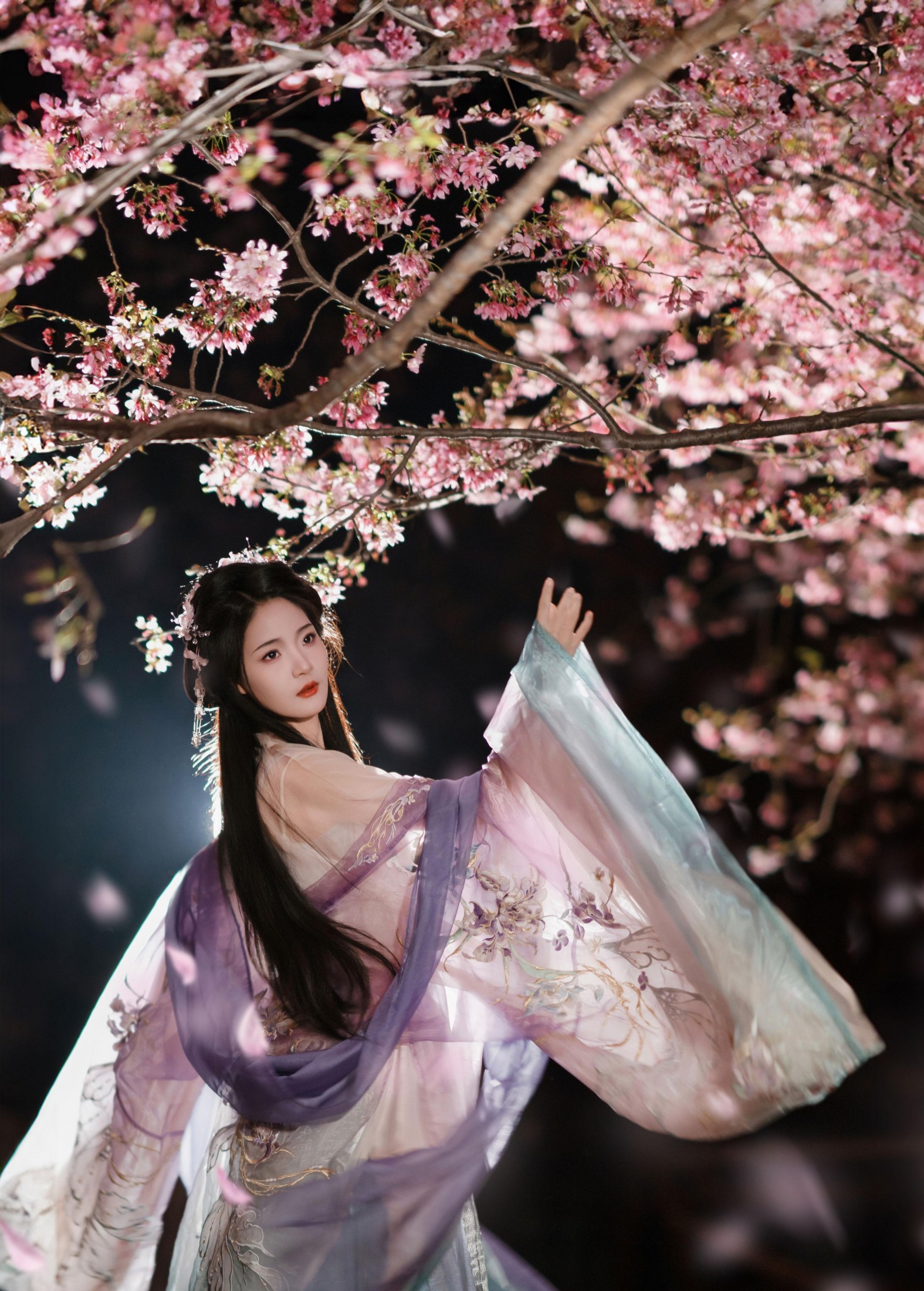 图片[2] - 南栀nz - 《夜樱古风人像拍摄》[14P] - 机器猫次元 - 机器猫次元