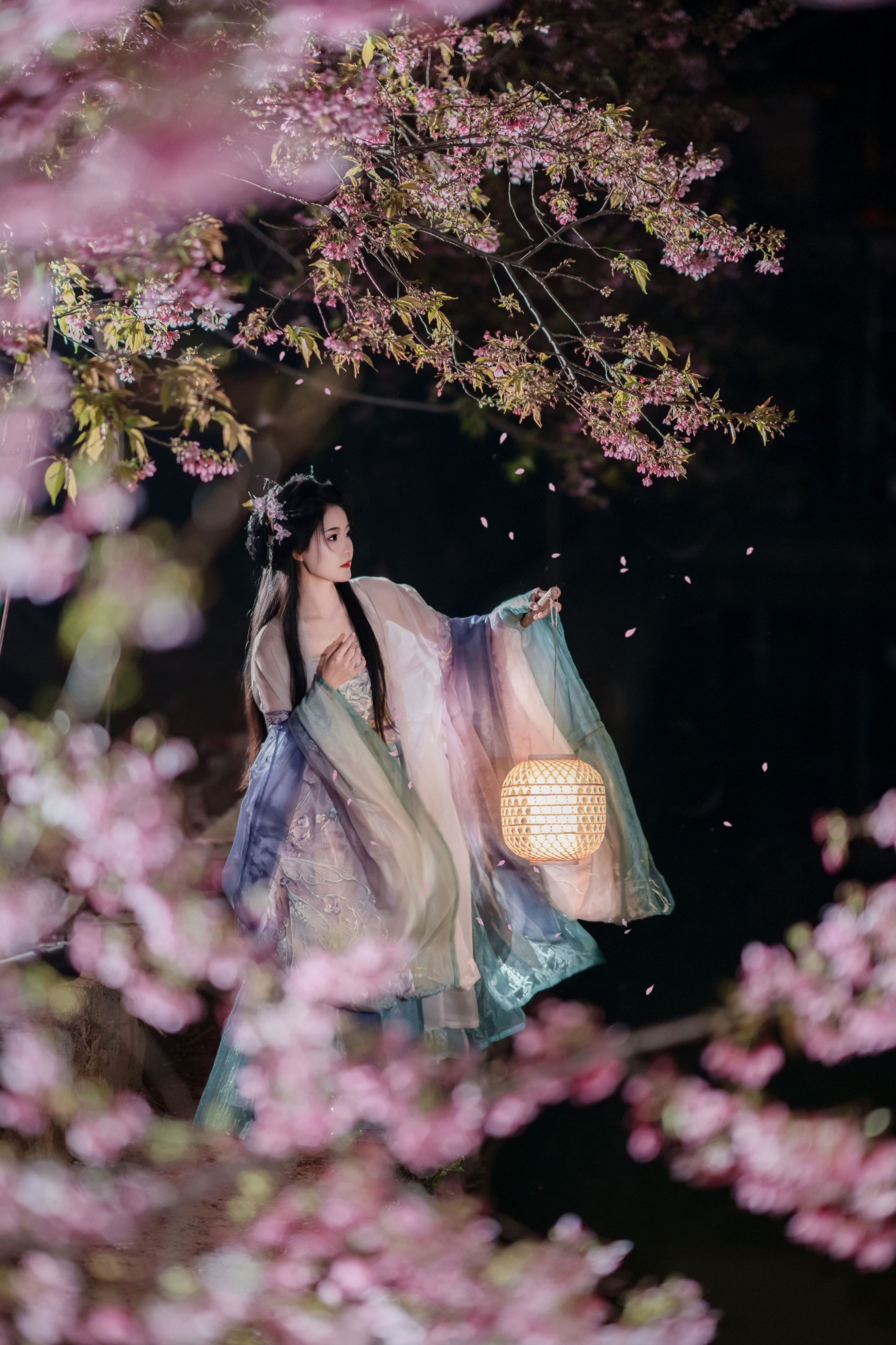 图片[7] - 南栀nz - 《夜樱古风人像拍摄》[14P] - 机器猫次元 - 机器猫次元